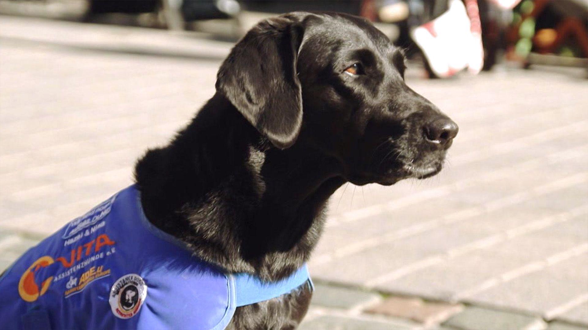"hundkatzemaus" Spezial vom 04.12.2021