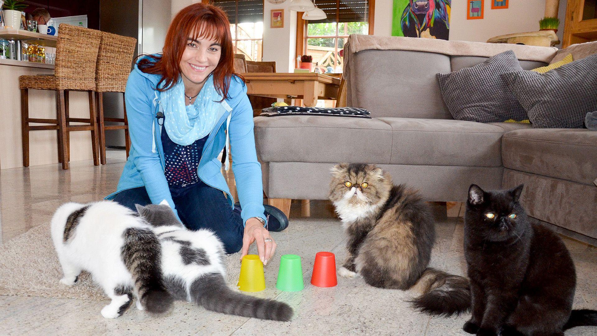 Thema heute u.a.: 7 Sünden in der Katzenhaltung!