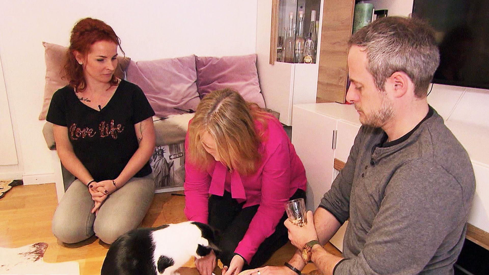 Thema u.a.: Ein neuer Fall für VOX Katzenexpertin Birga Dexel