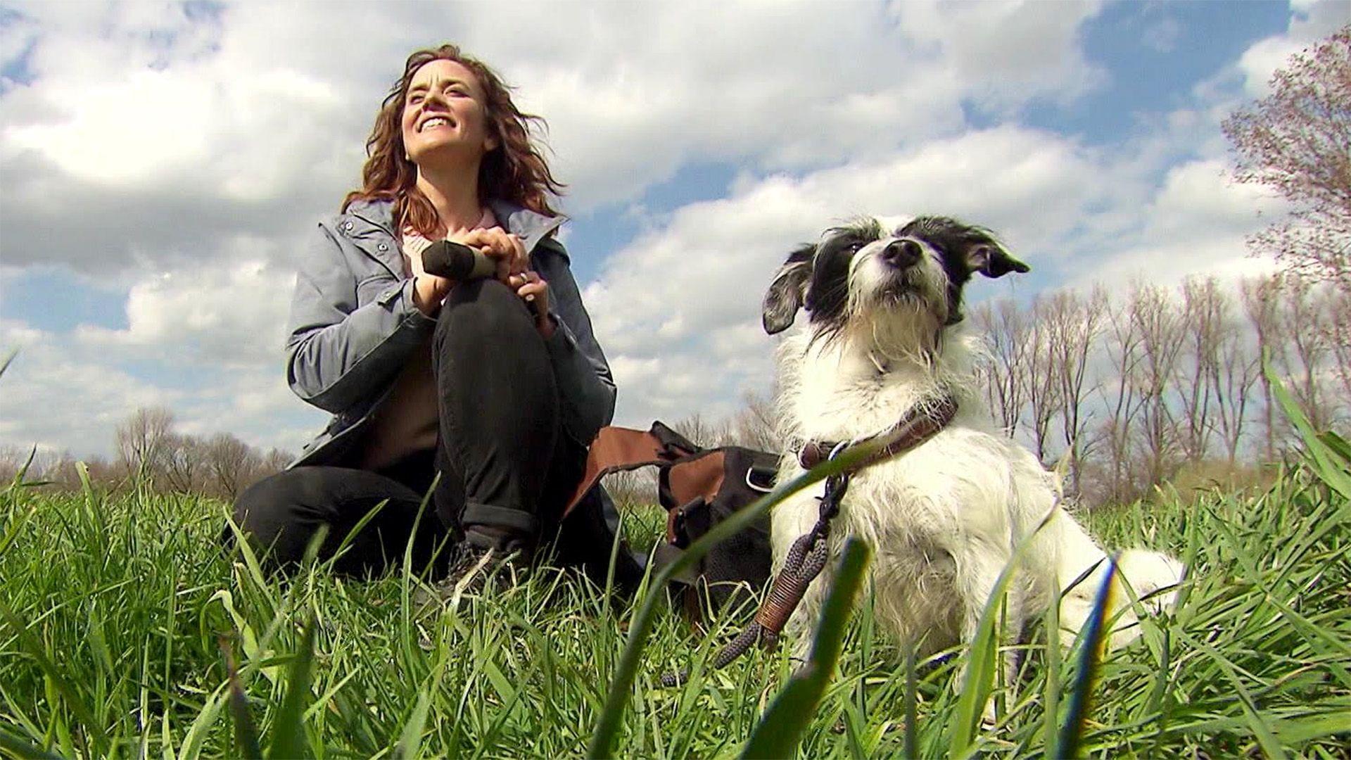Heute u.a.: Hundesport-Trend Dummy-Training