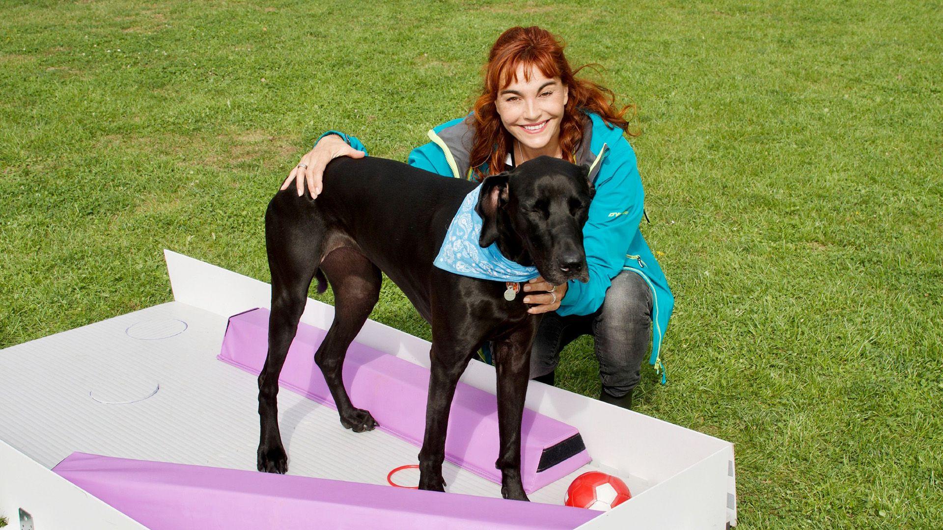 Thema heute u.a.: Doggy-Golf