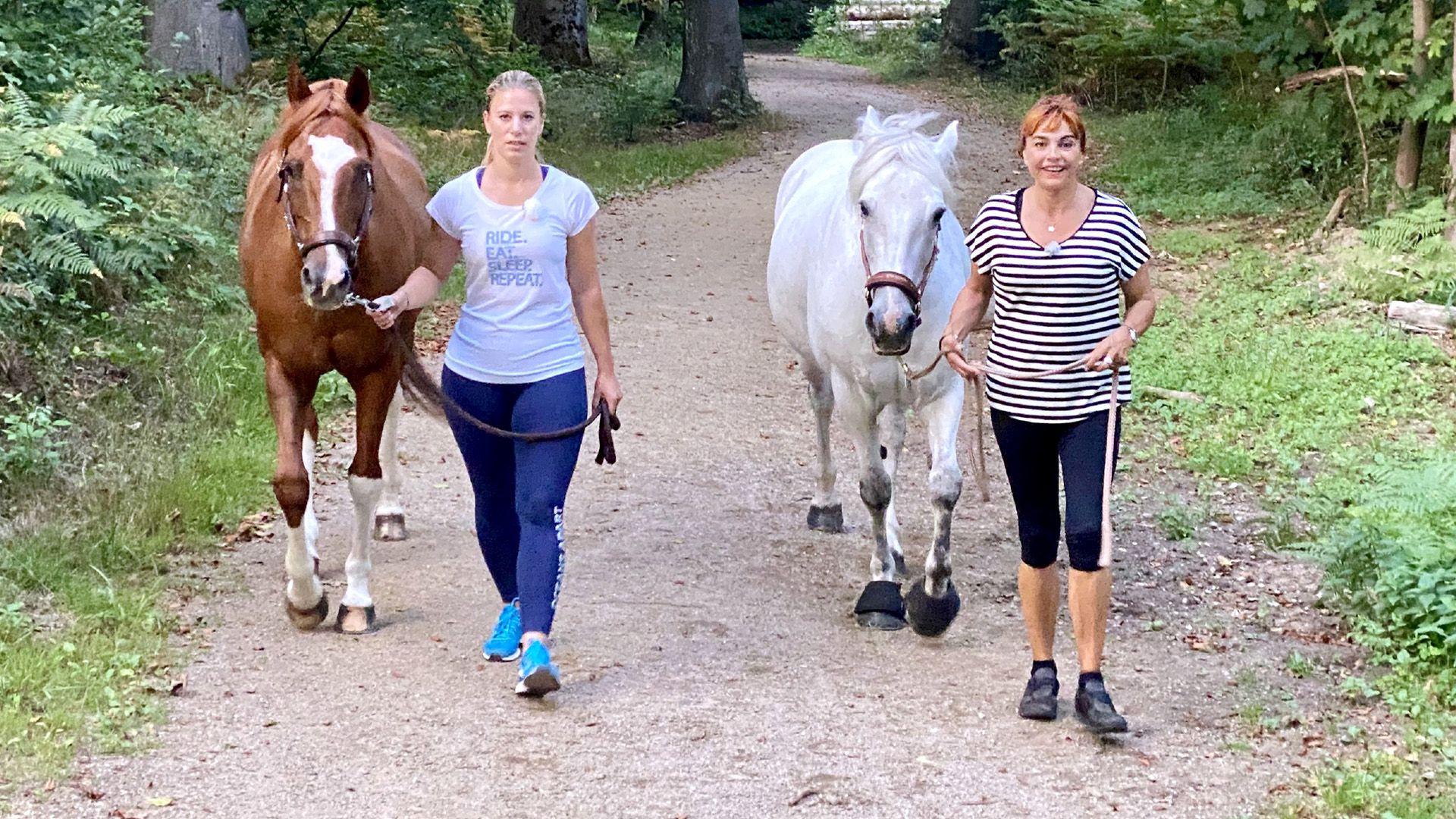 Thema u.a.: "Horsejogging"