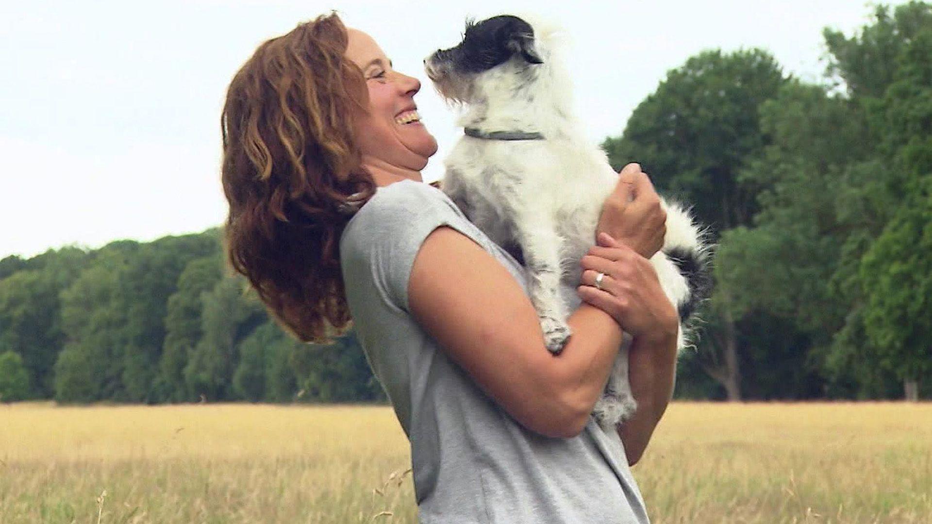 Hundekommunikation durch Körpersprache