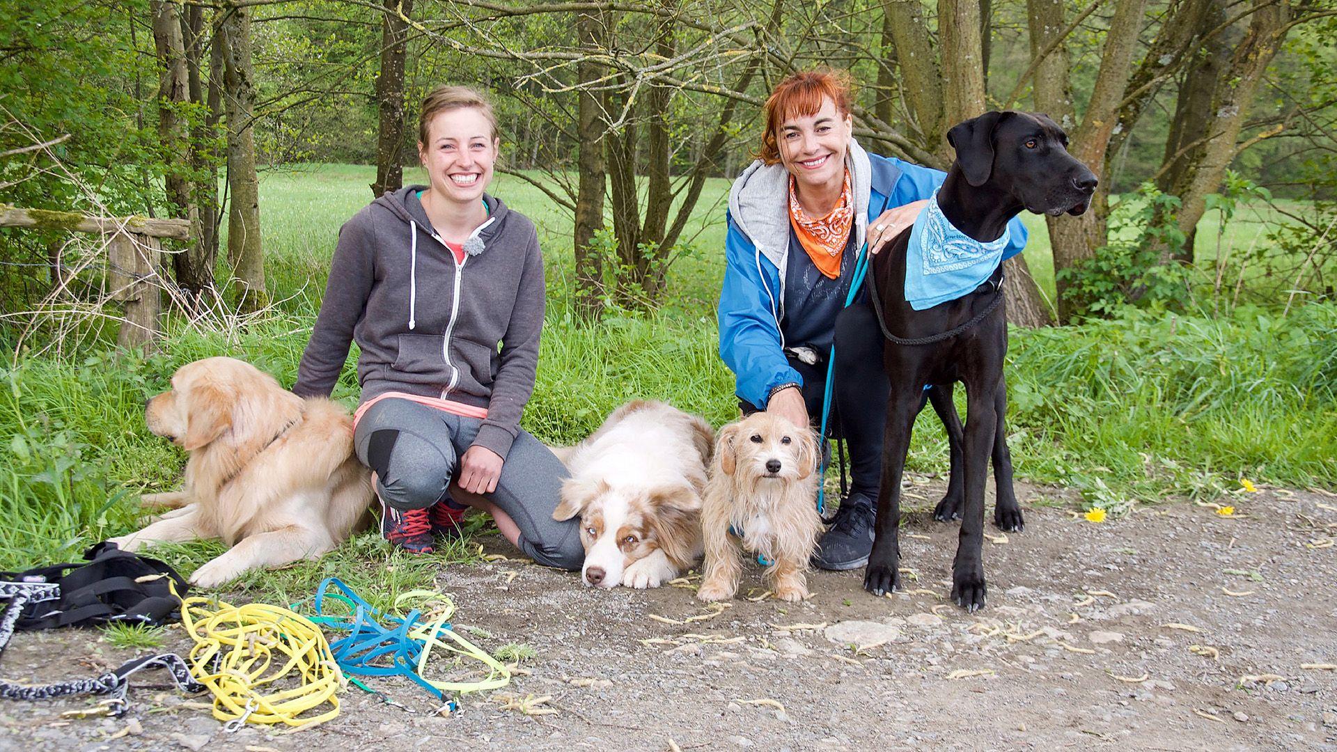 Joggen mit Hund