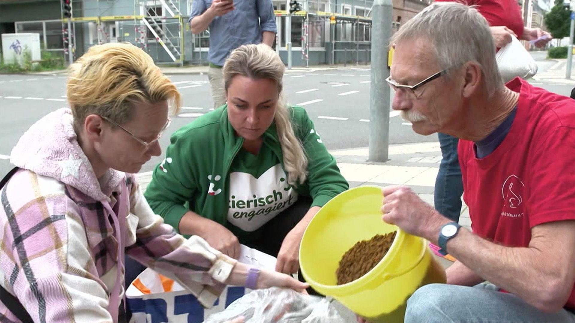 Tiertafel Neuss, "Helfer auf vier Pfoten", Initiative "Tierisch engagiert"