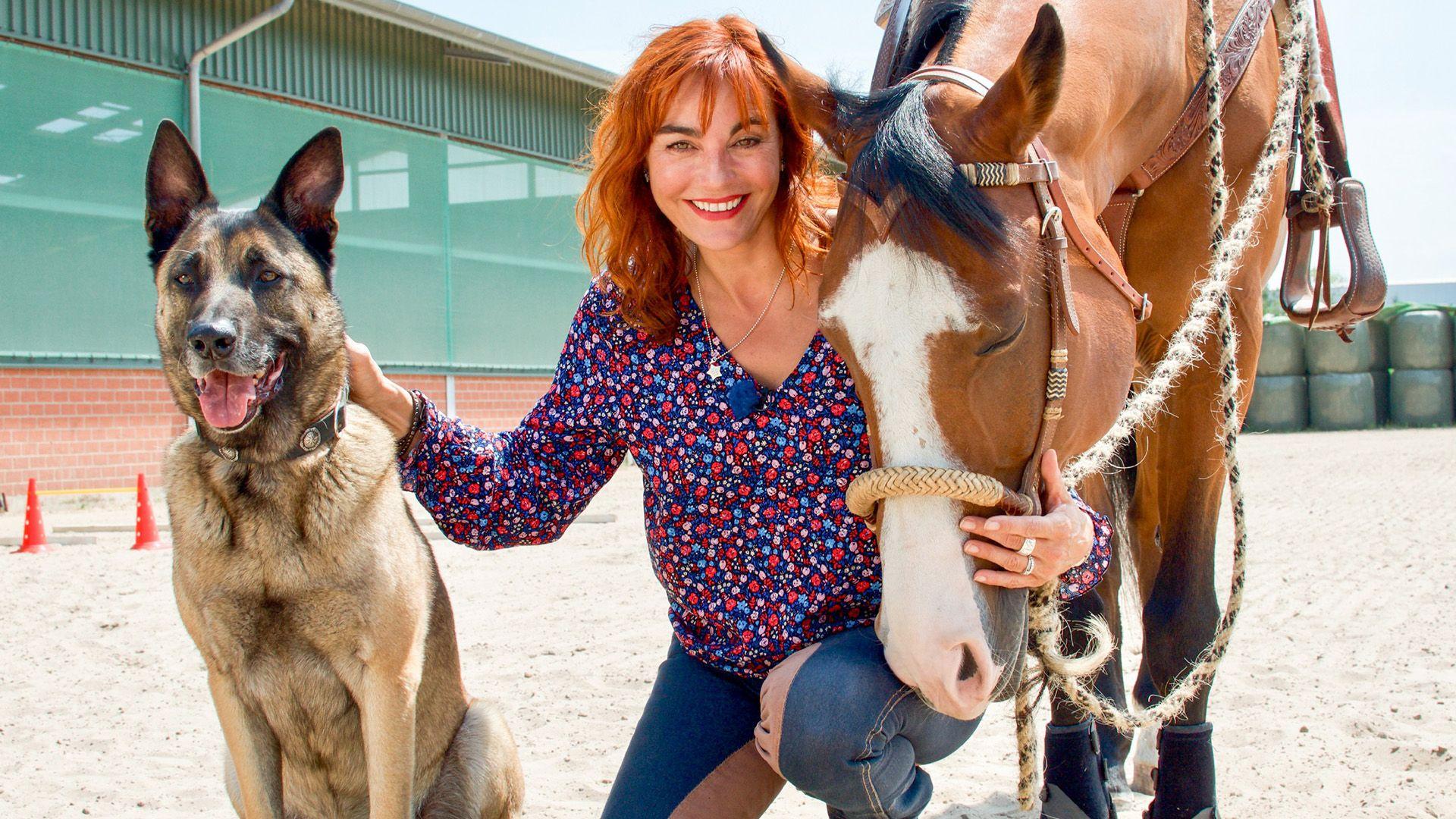 Thema heute u.a.: Horse & Dog Trail