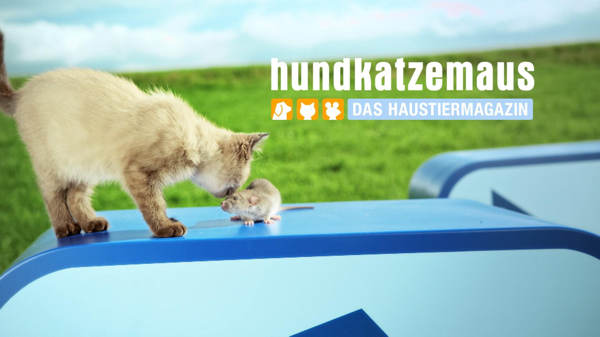 Thema u.a.: Gute Nacht - wenn Tiere schlafen