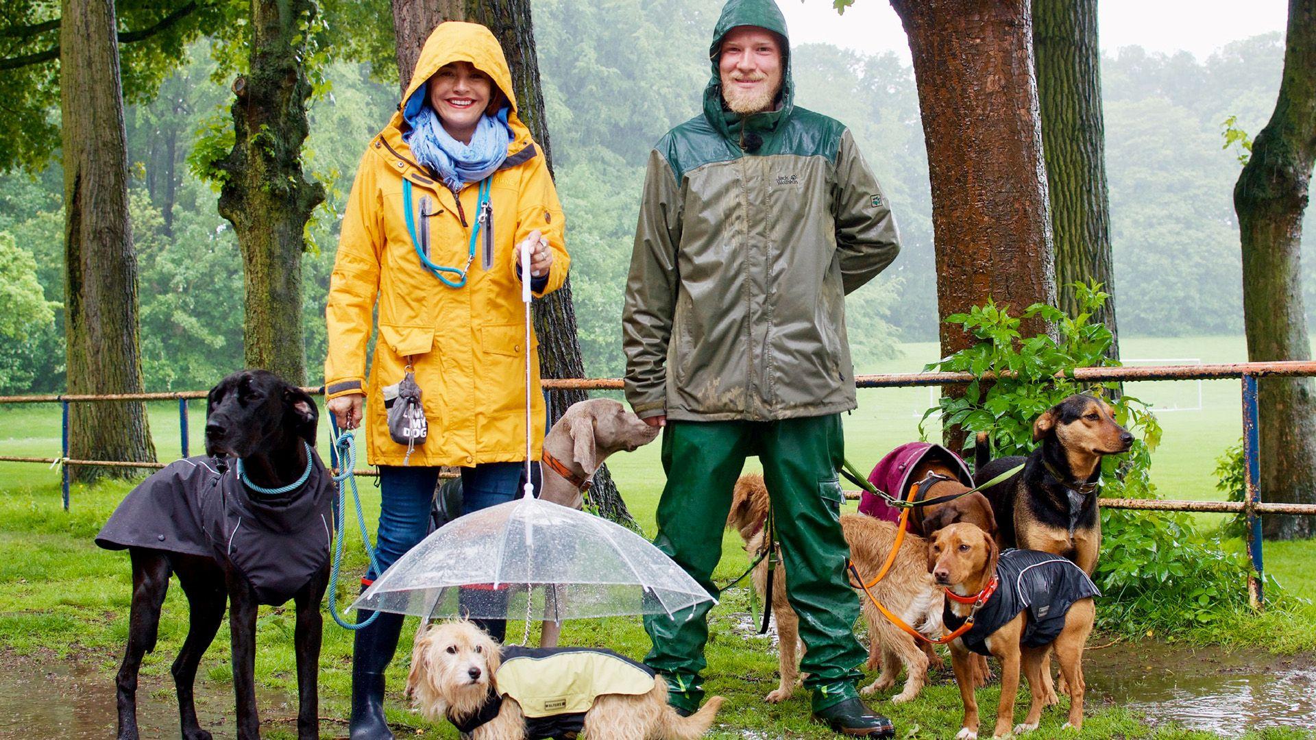 Heute u.a.: Hundebeschäftigung an Regentagen