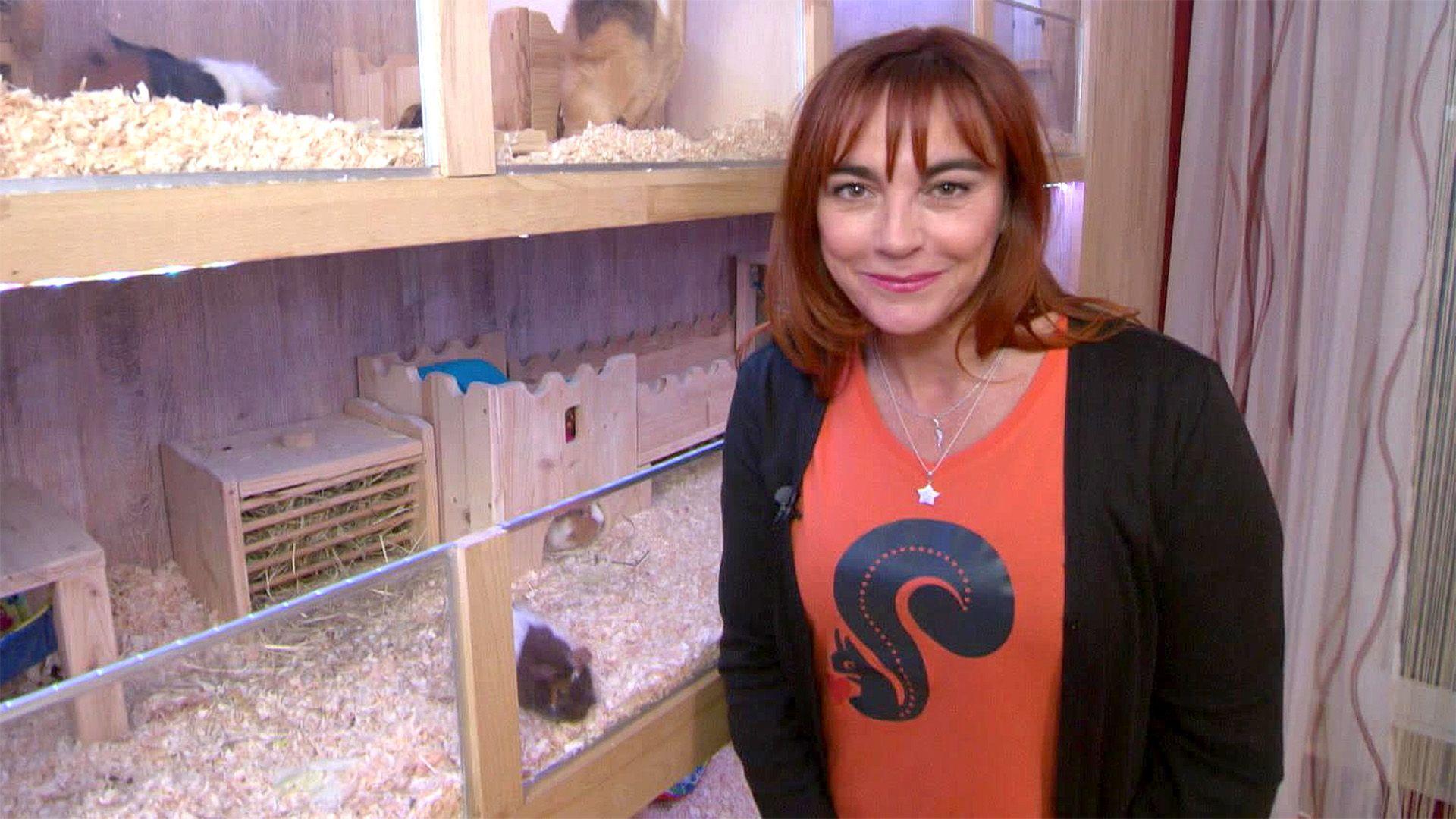 Thema heute u.a.: Meerschweinchen Megacity