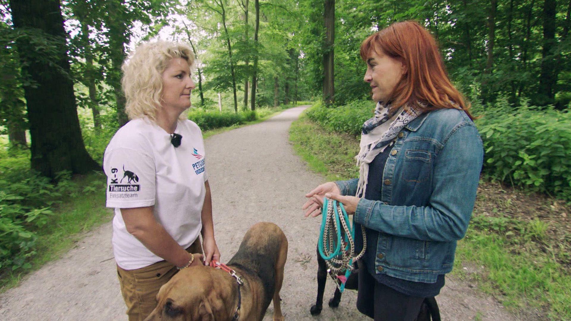 Hund entlaufen - was nun?