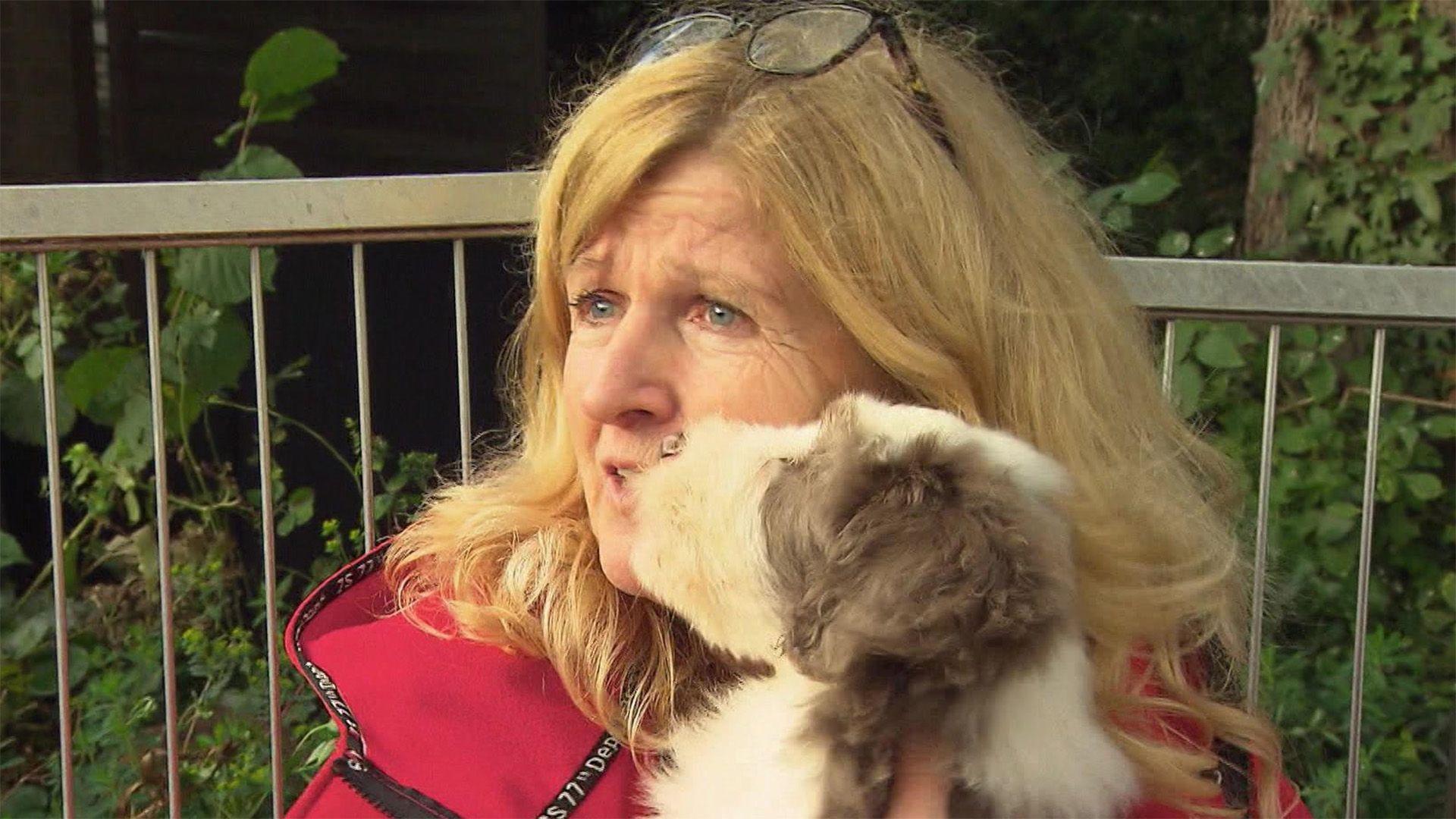 Bearded Collies in Zucht und Therapiearbeit