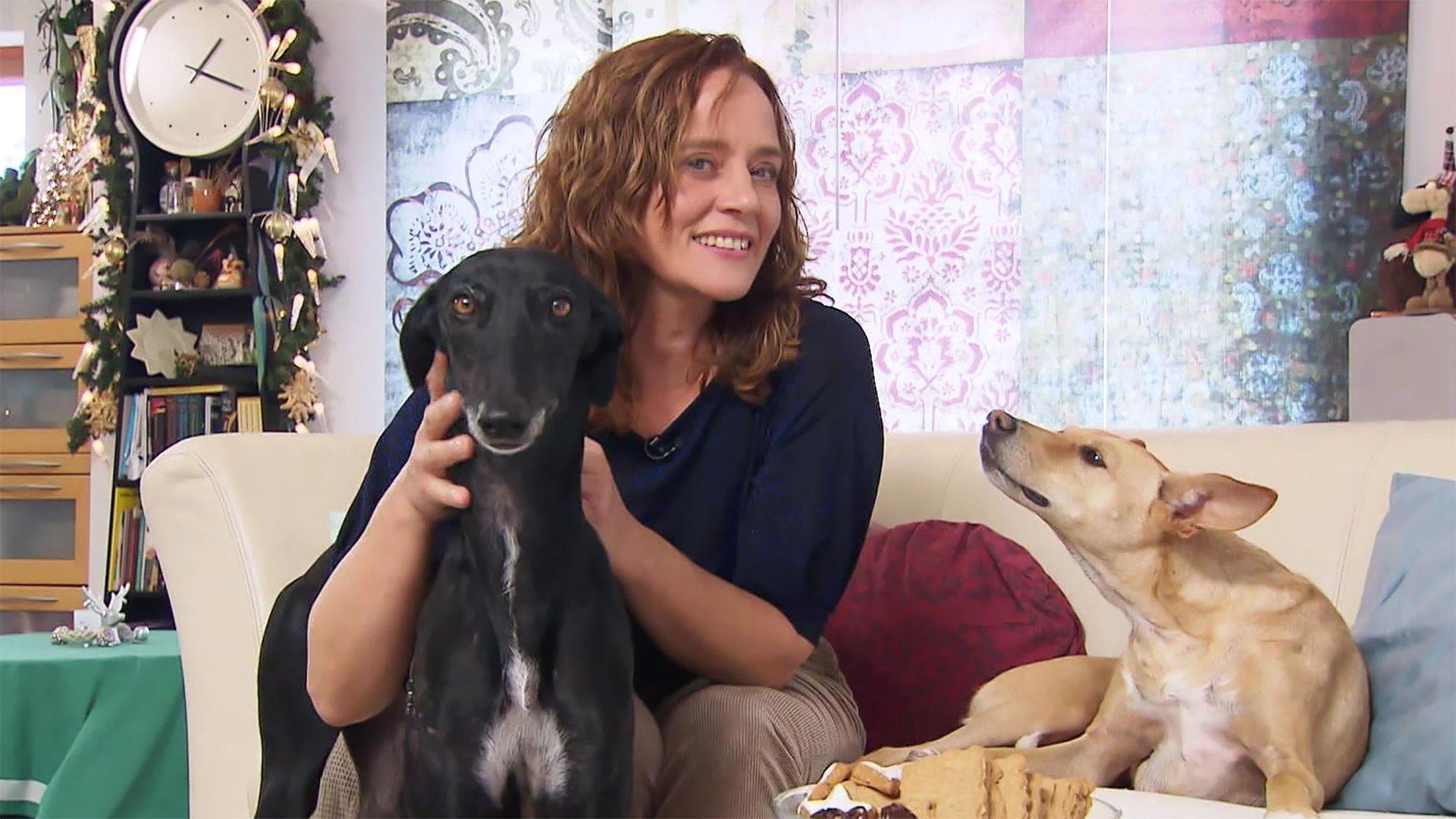 Drei Frauen kochen ein Weihnachtsmenü für Hunde