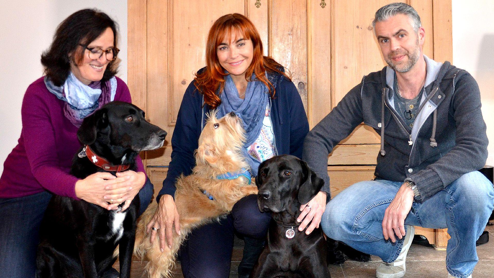 Thema heute u.a.: Silvesterangst beim Hund