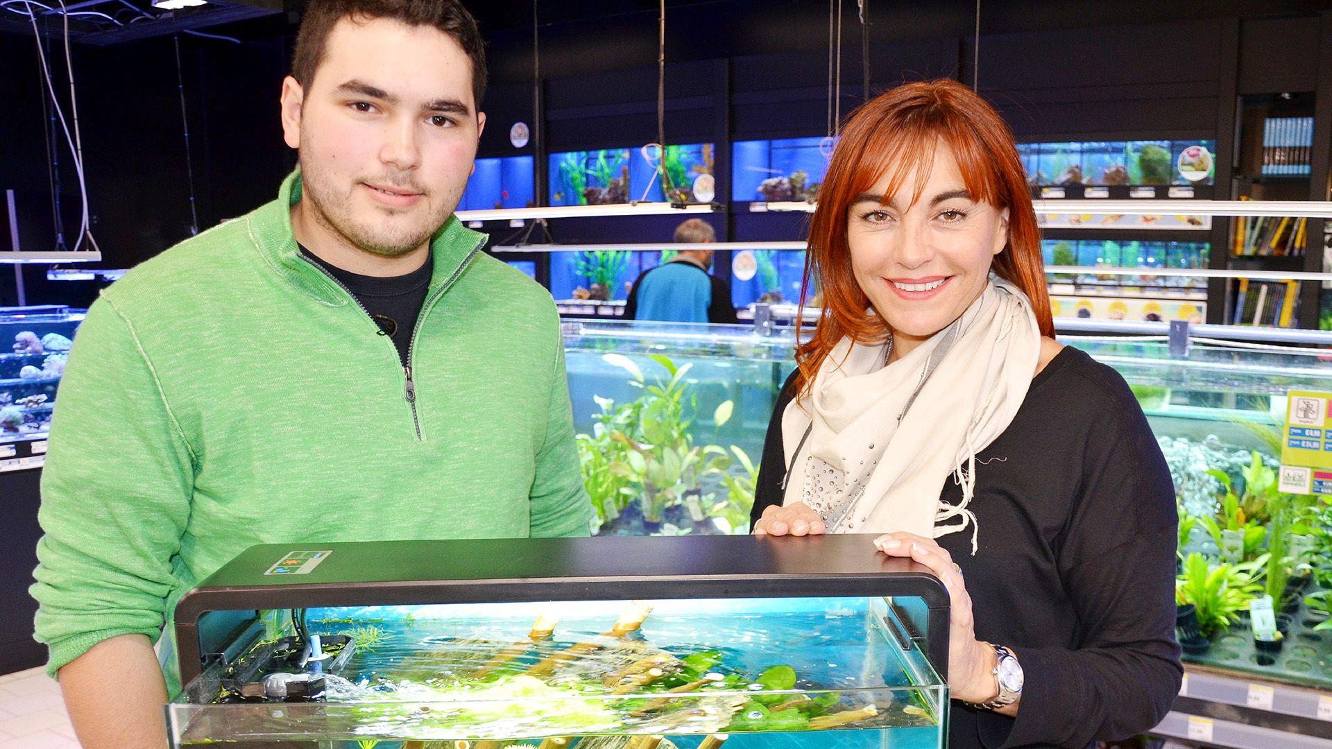 Thema heute u.a.: Mein erstes Aquarium