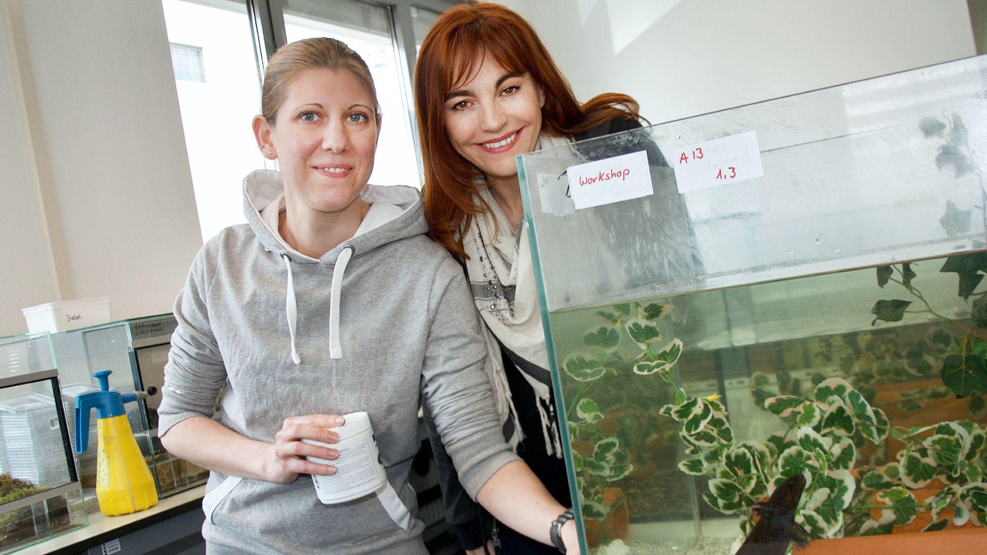 Axolotl - Wunder der Natur!