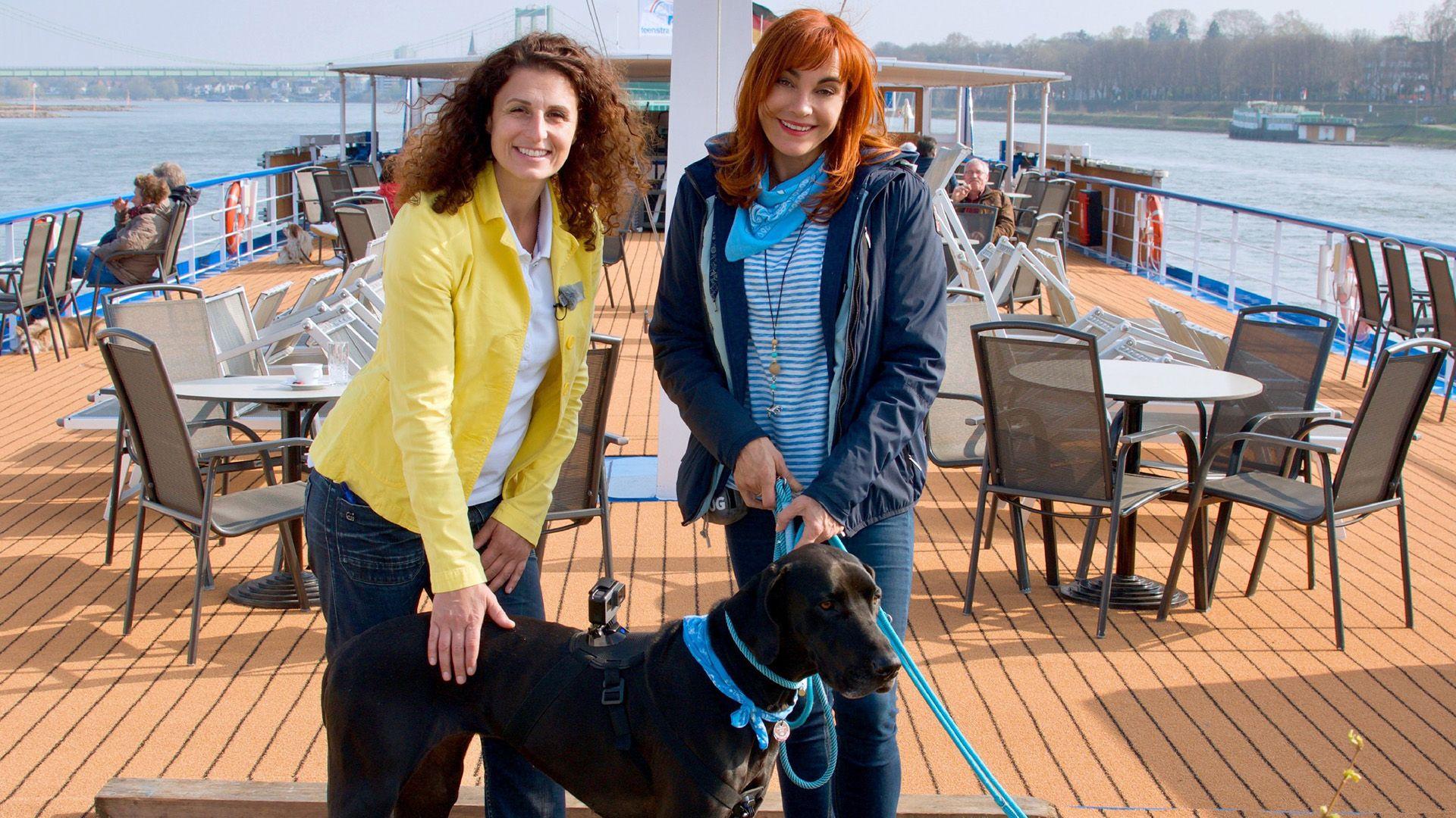 Thema heute u.a.: Flusskreuzfahrt mit Hund
