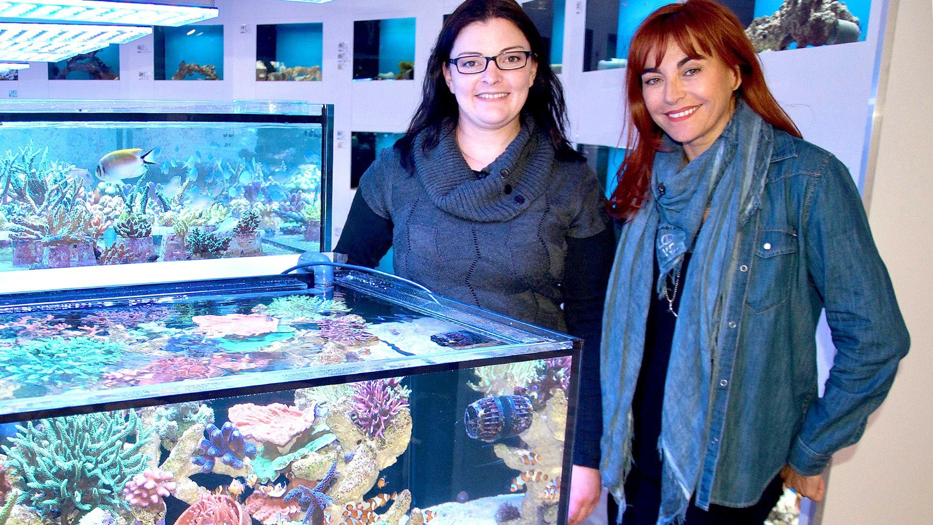 Thema heute u.a.: Nachhaltige Meerwasseraquaristik