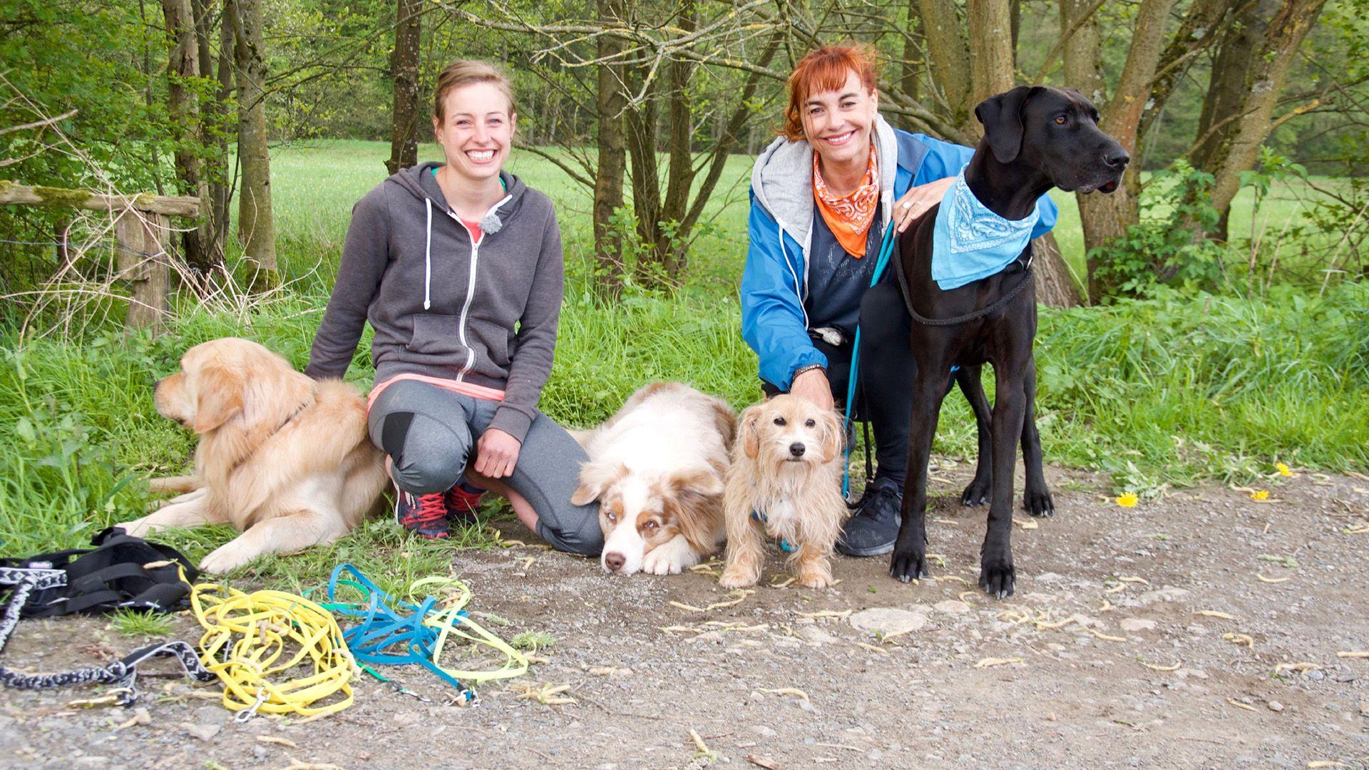 Thema heute u.a.: Joggen mit Hund