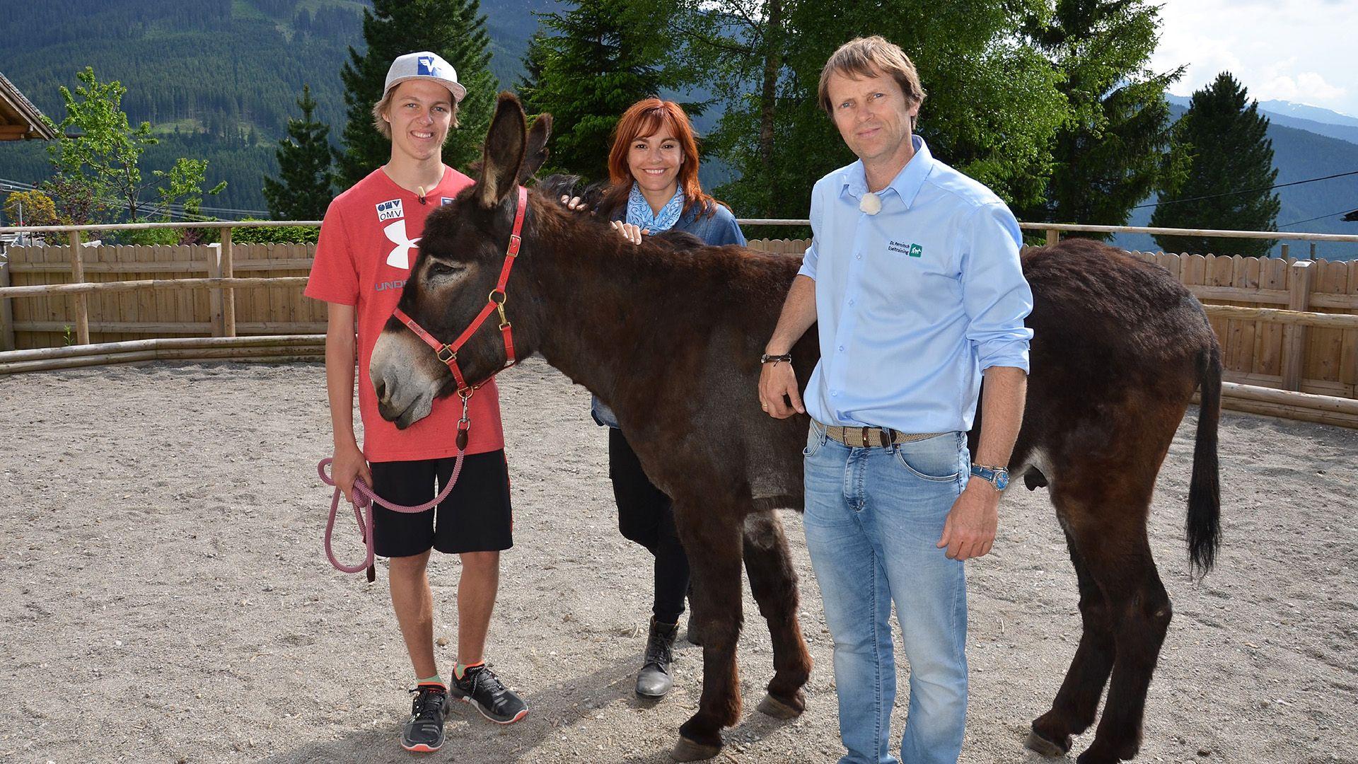 Zu Besuch im Eselcamp