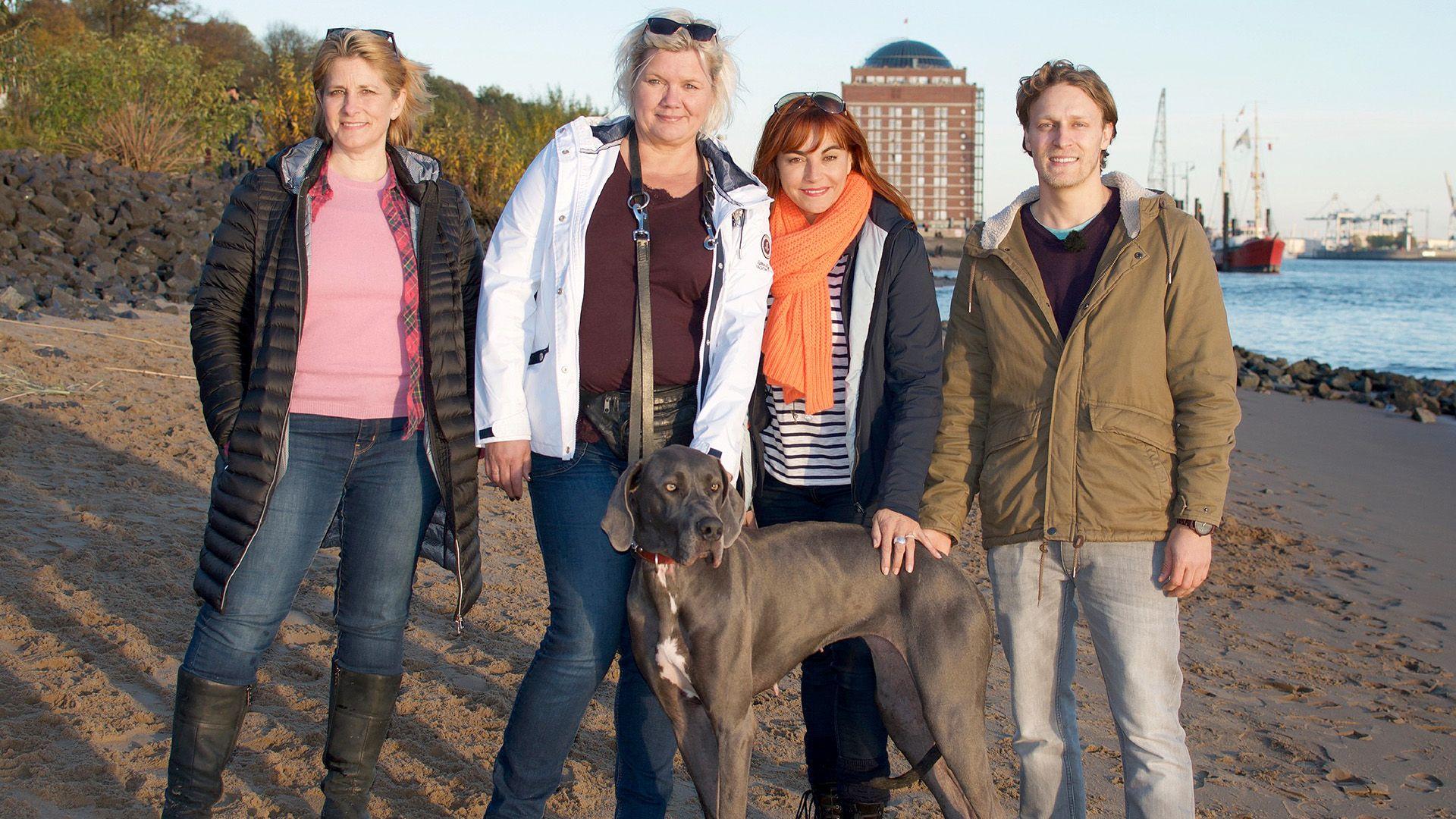 Thema u.a.: Dog Sharing