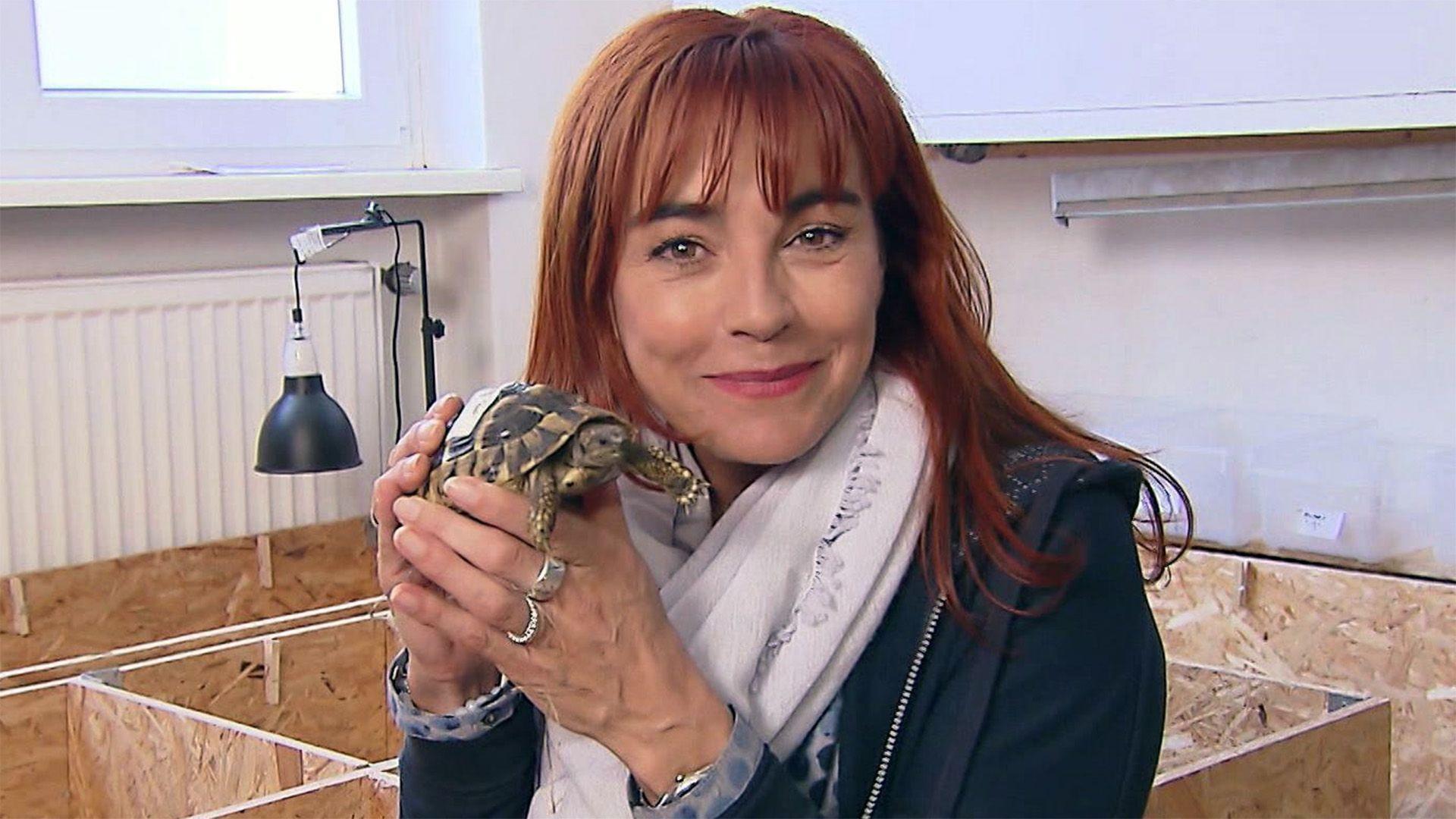 Thema u.a.: Nachhaltigkeit für Tierfreunde