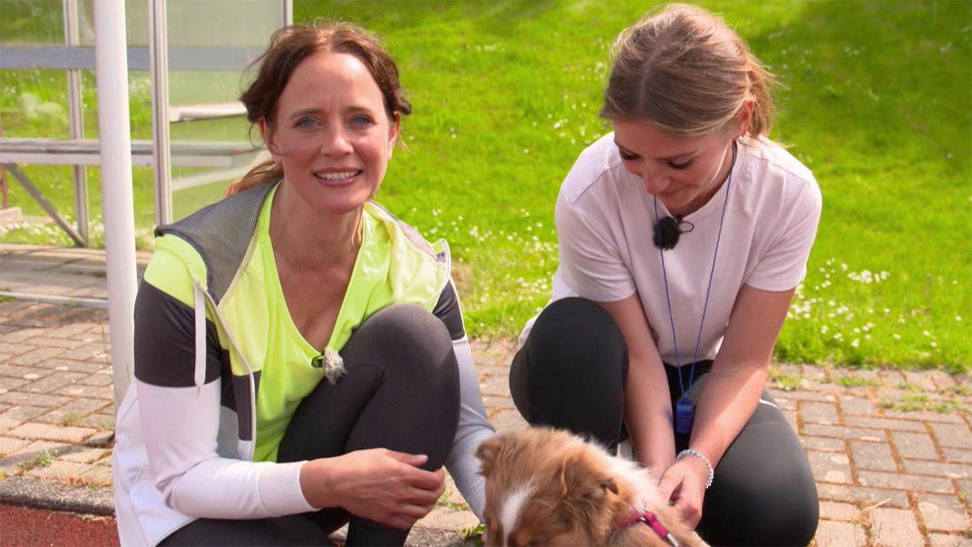 Joggen mit Hunden - Tipps und Tricks