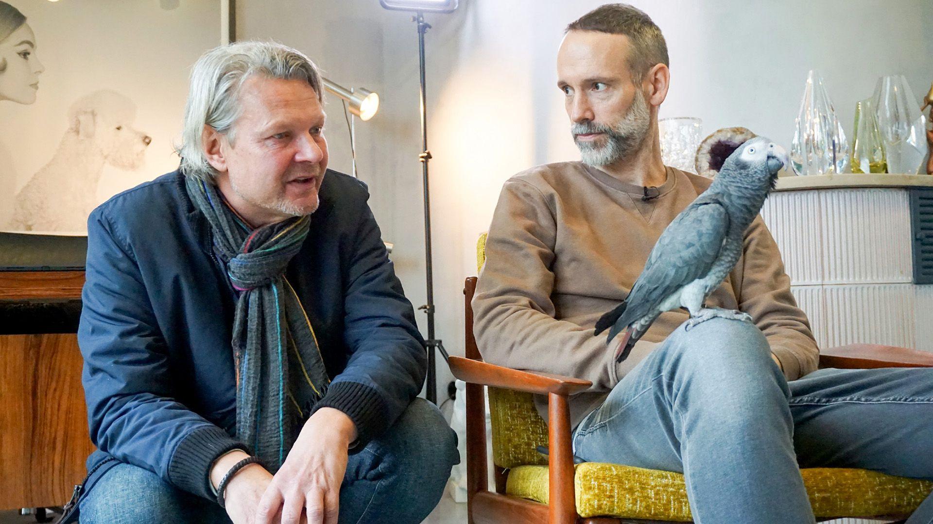 Thema heute u.a.: Wohin mit Graupapagei Freddy?