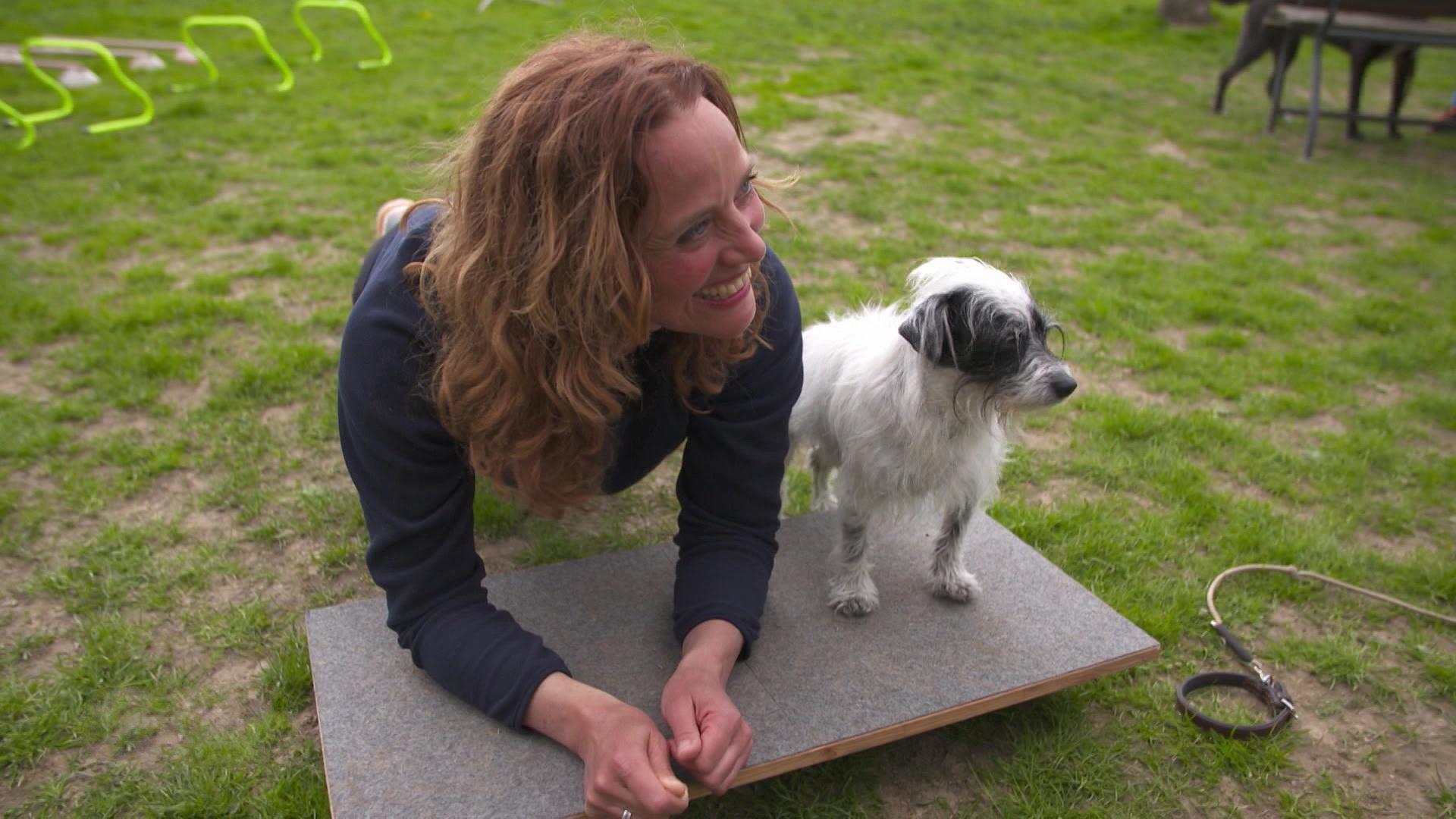Thema u.a.: Zirkeltraining für Mensch und Hund
