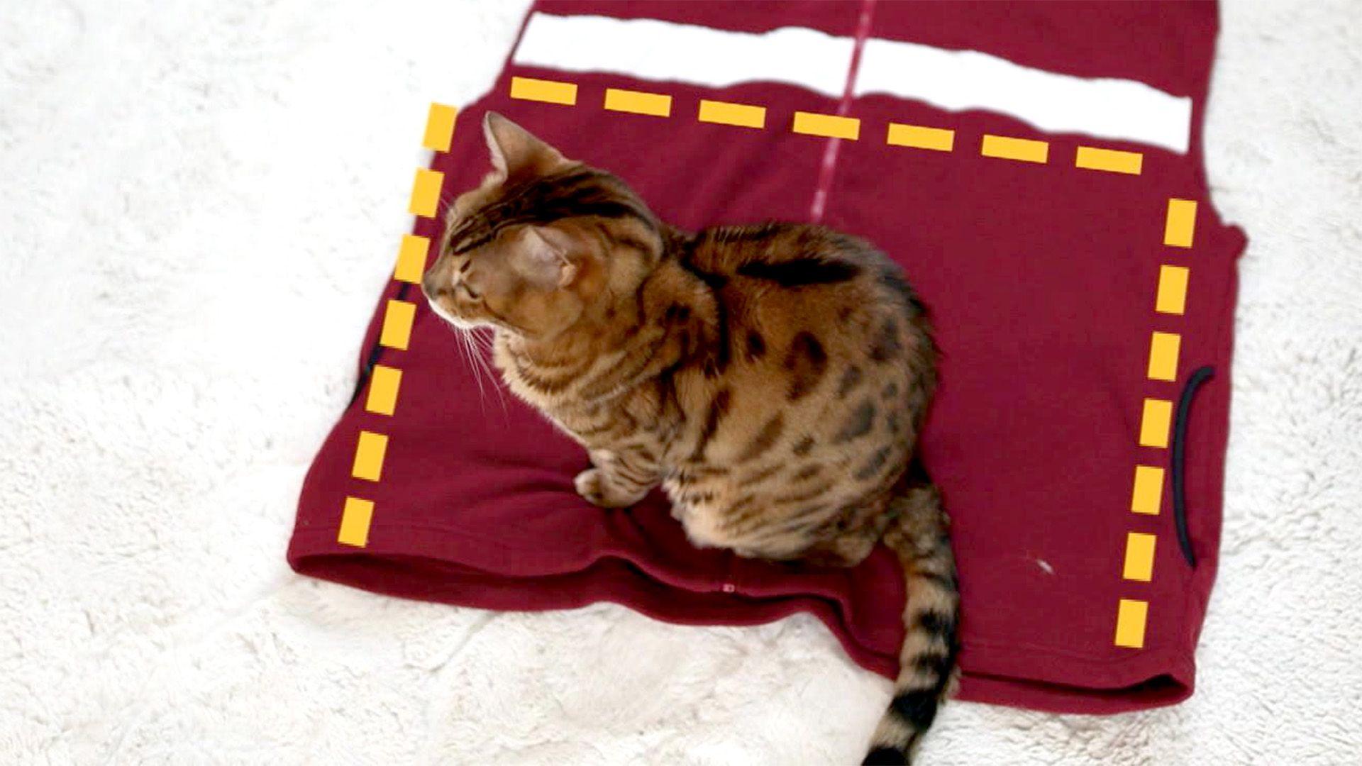 Ein Fleecepulli - viele Ideen: Upcycling für Katzen