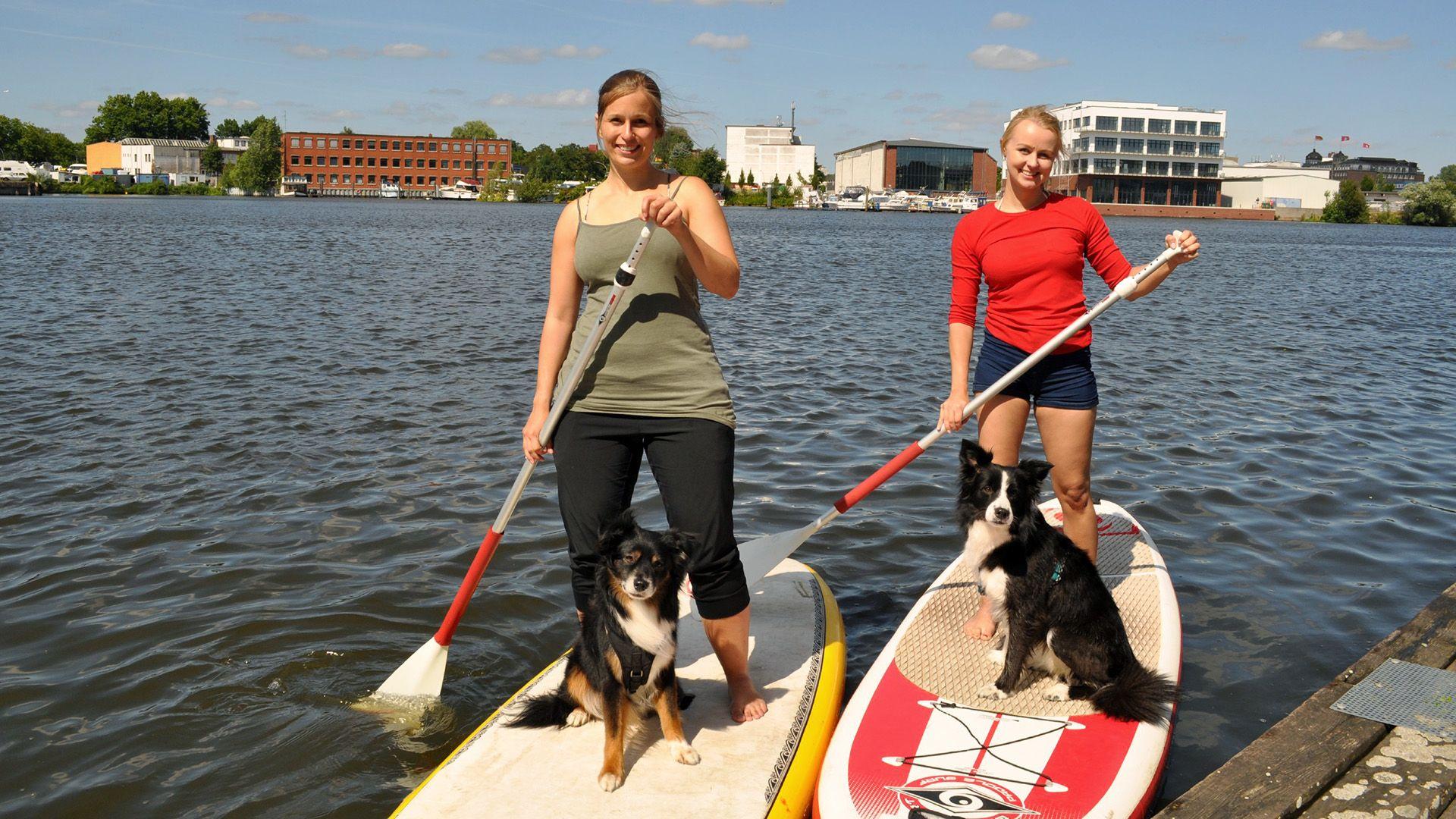 Thema heute u.a.: Stand UP Paddling mit Hund