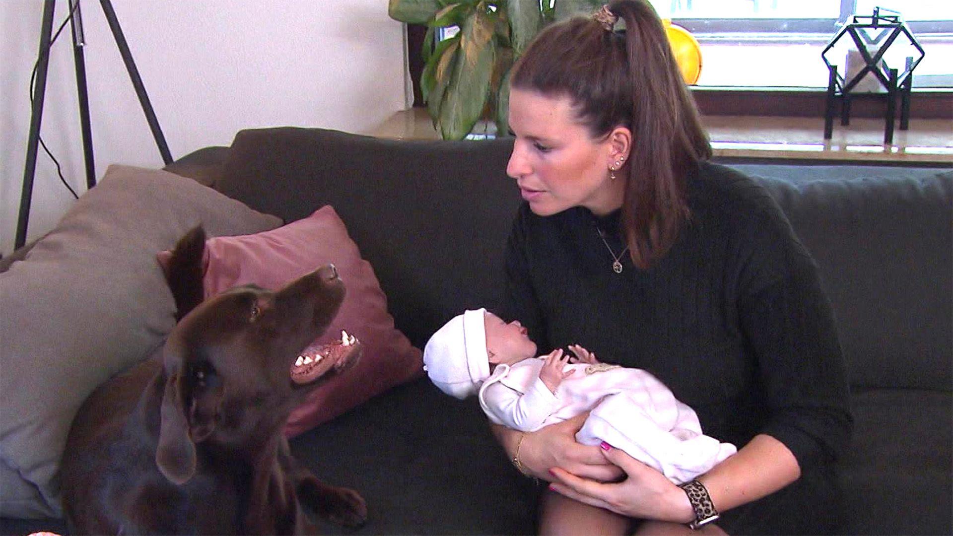 Gebrauchsanleitung "Hund und Baby"