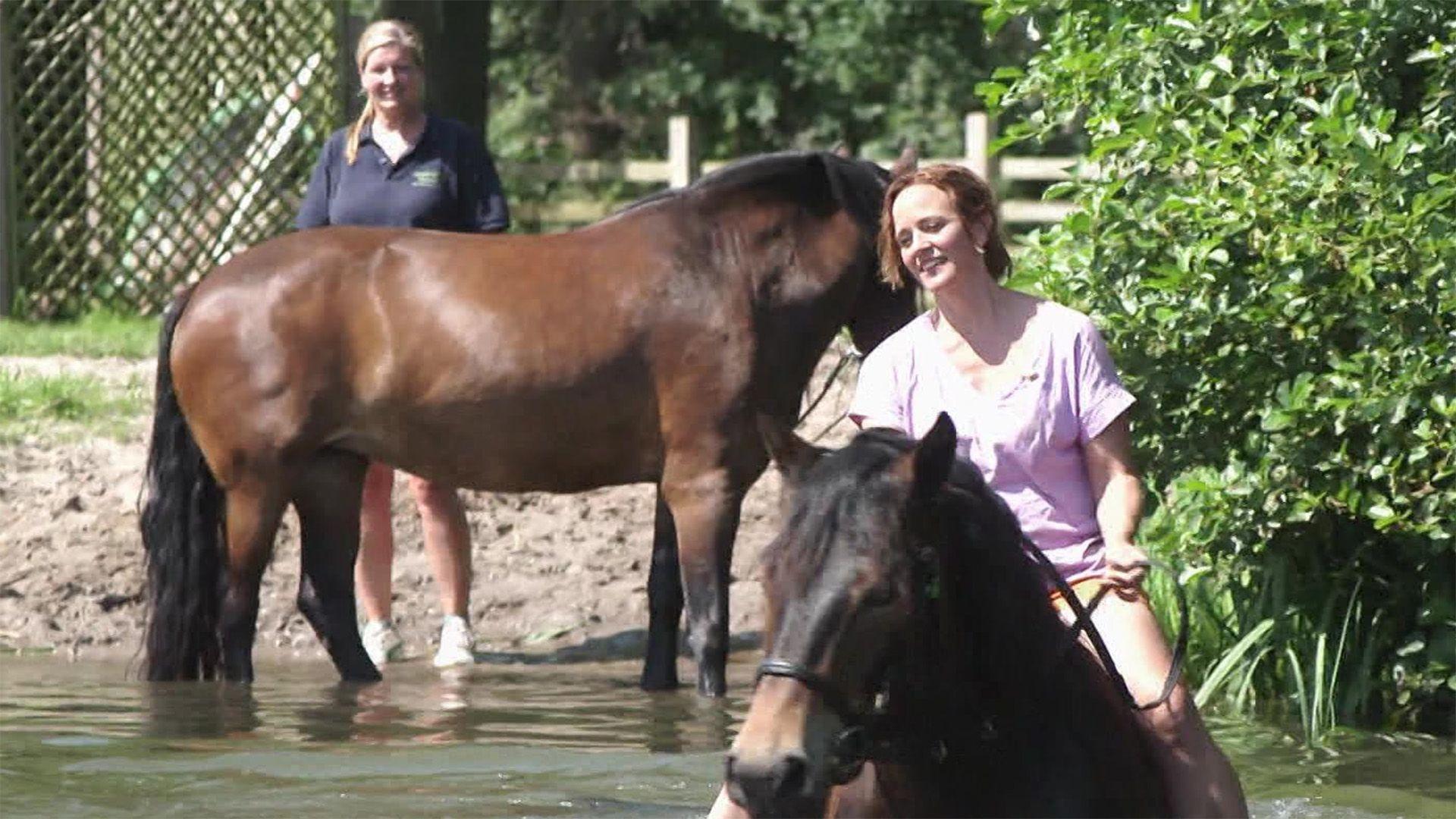 Thema u.a.: Schwimmen mit Pferden