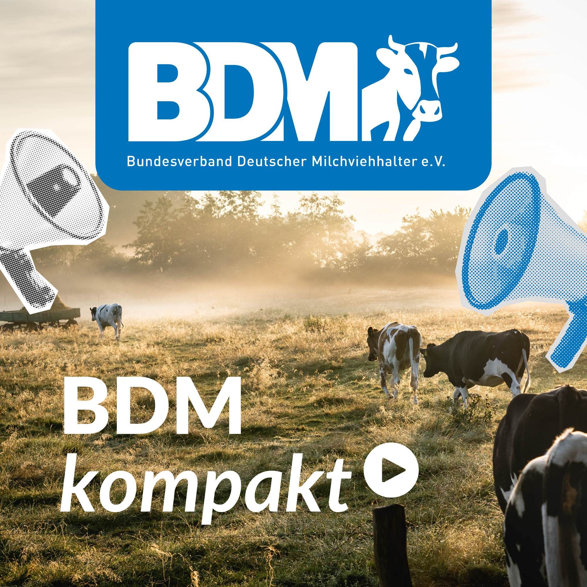 KW 27/28: QM Milch, Weidegebot, kleinerer Agrarhaushalt - BDM kompakt
