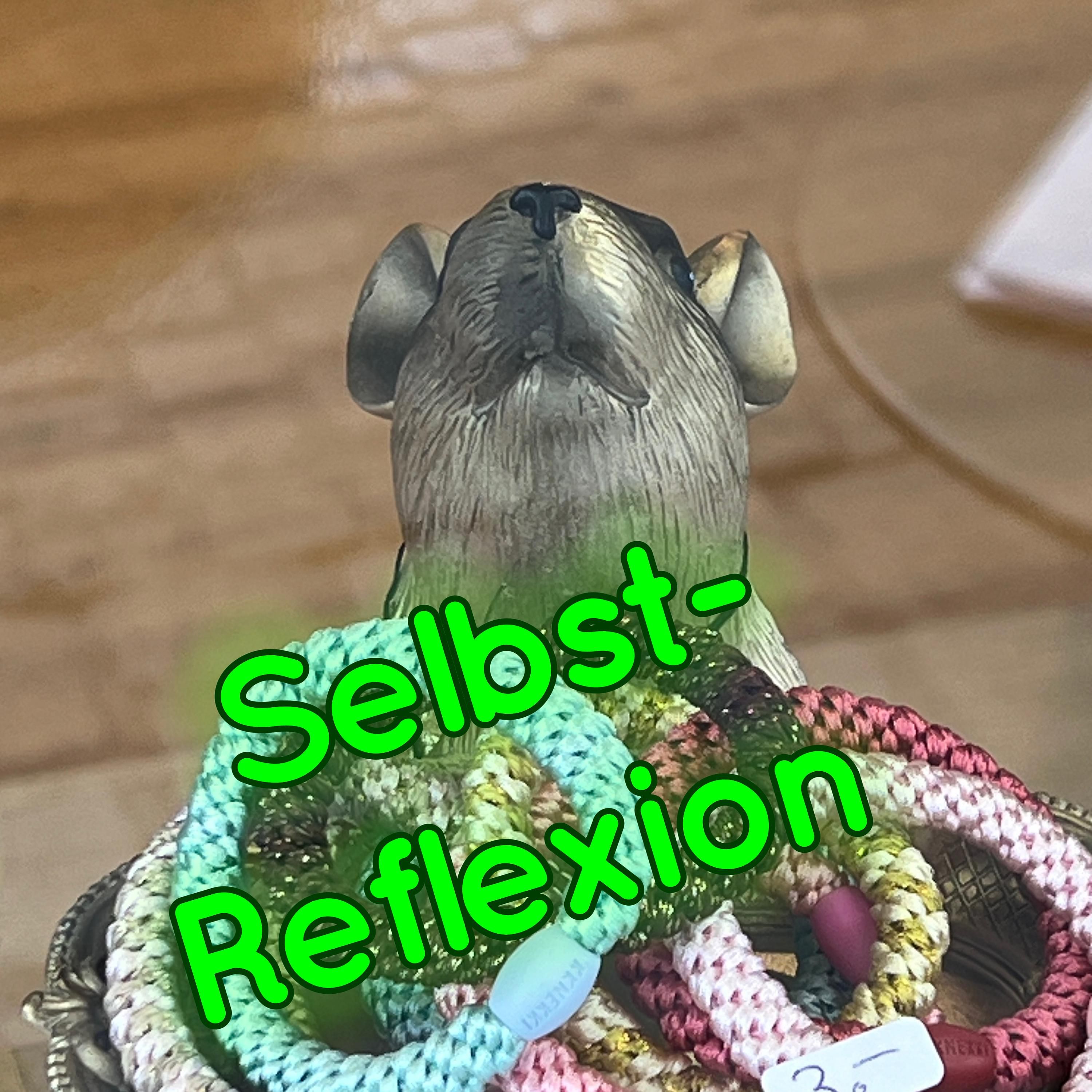 51 Selbstreflektion, macht das Sinn? Ein paar ganz persönliche Gedanken dazu