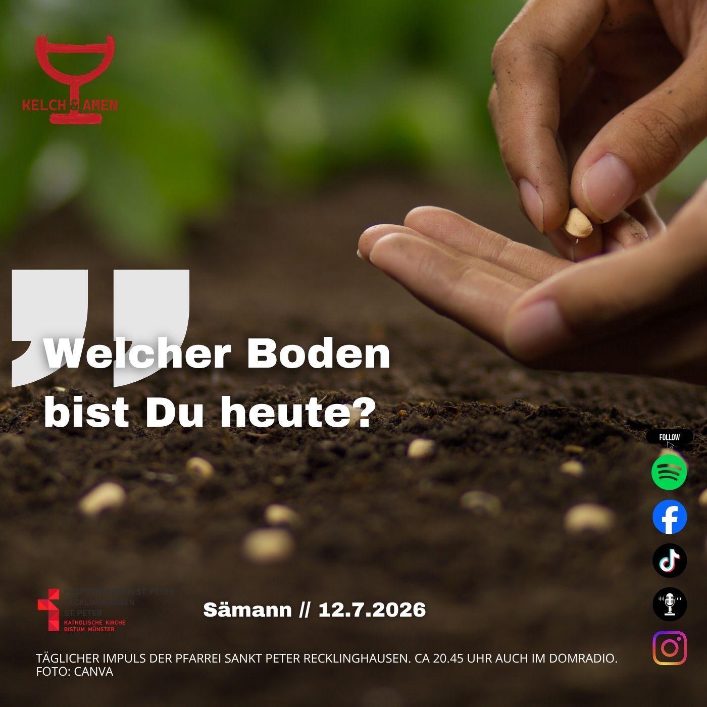Welcher Boden bist Du heute // 12.7.2026