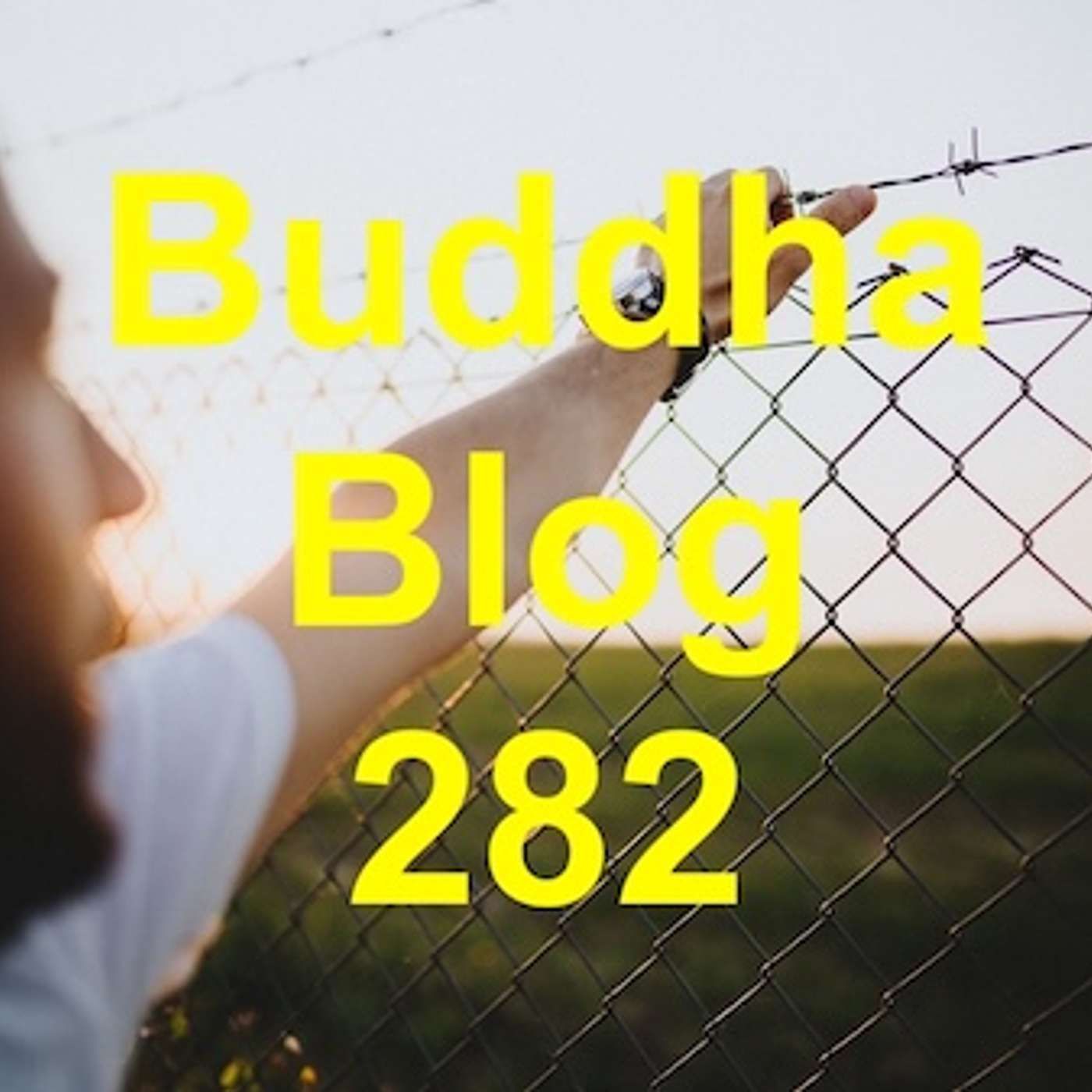 282-Gesunde Grenzen - Buddha Blog - Buddhismus im Alltag