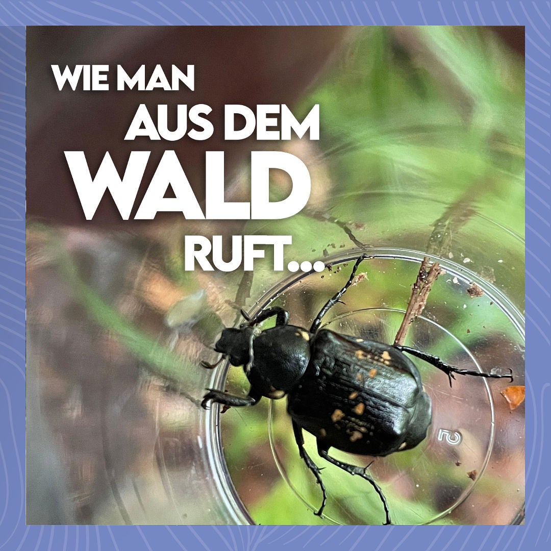 #38 Zombiebäume im Mittelalter