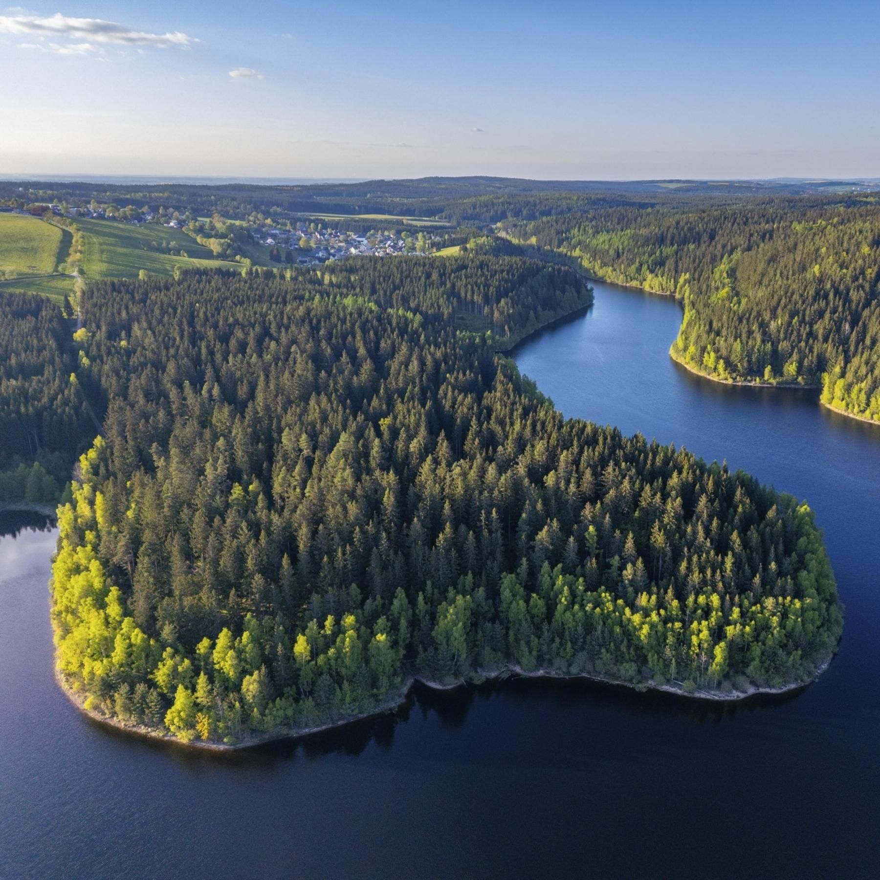 Wasser im Wald - Wie Bäume Regenwasser verteilen