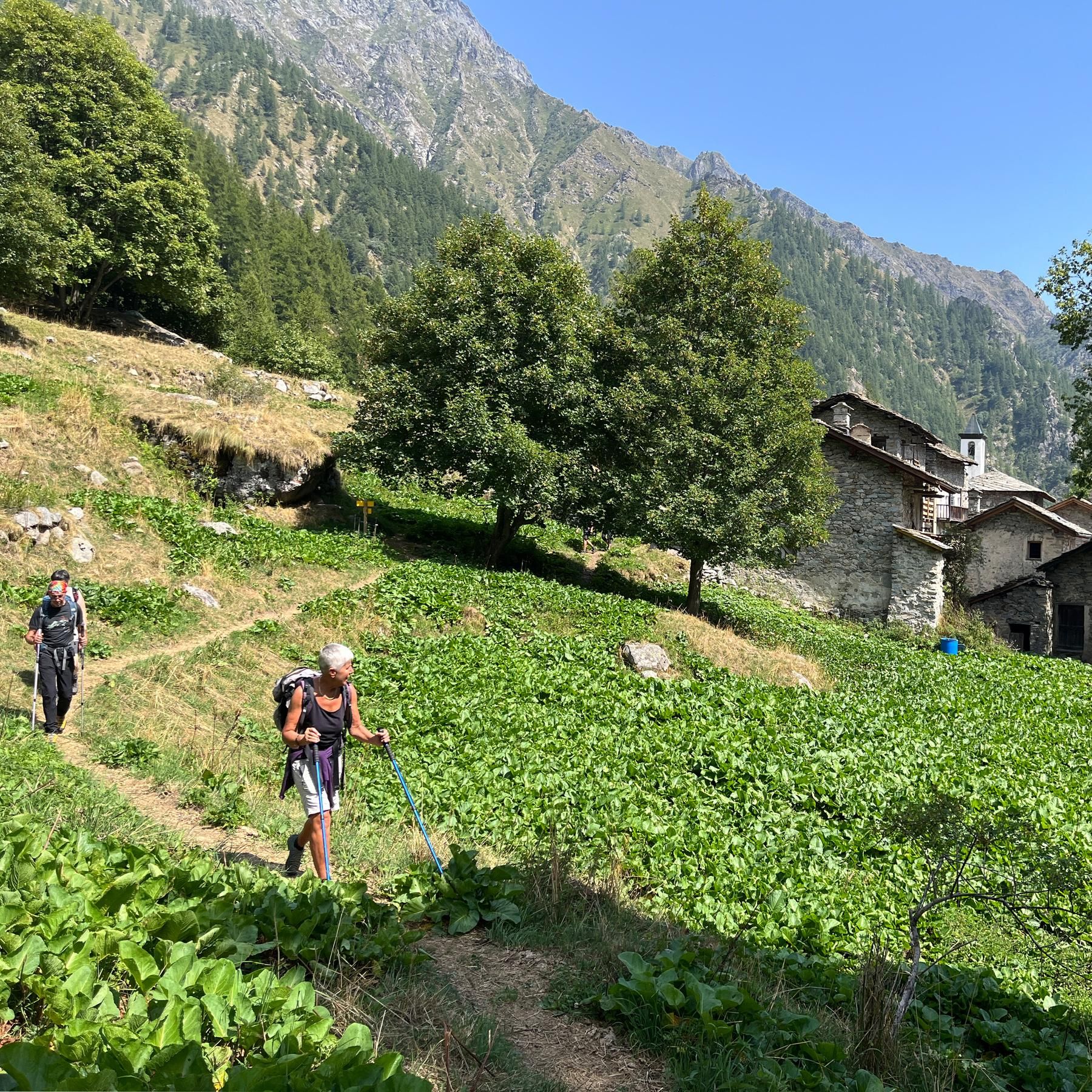 Italienische Alpen: Gran Paradiso Nationalpark, Alpenüberquerung mit den Bergfreundinnen, Pizza und Pasta
