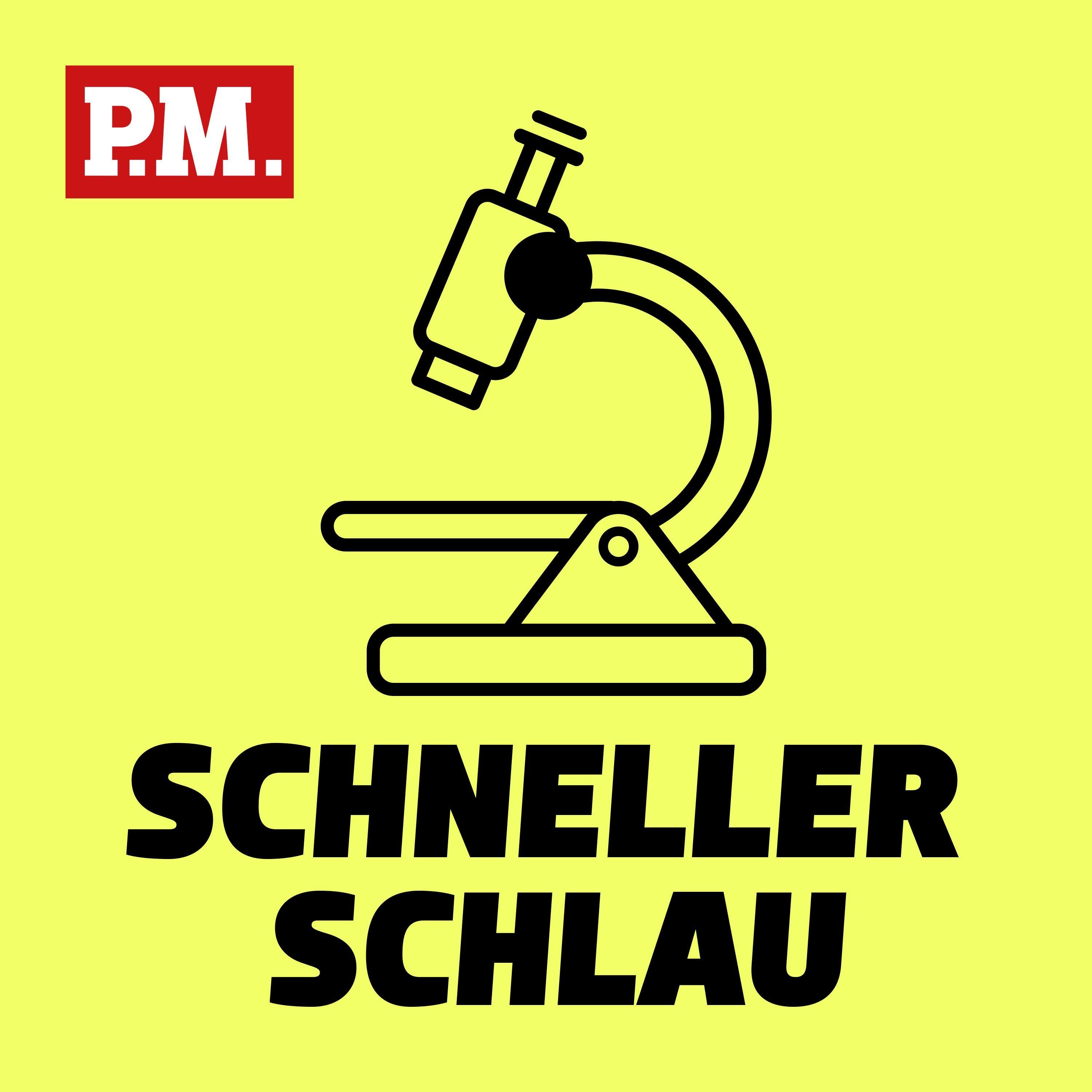 Wohin verschwindet Laub?