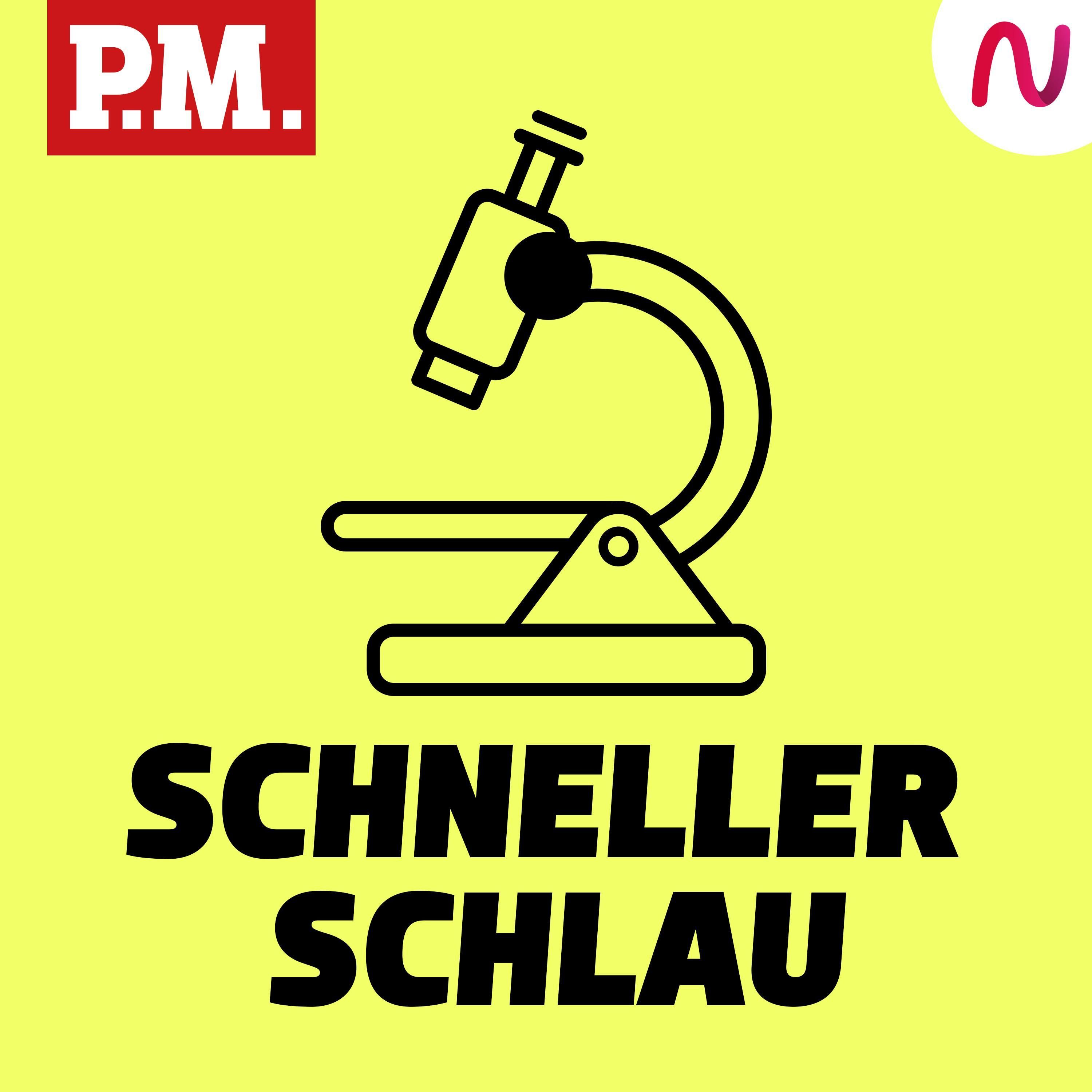 Wie entdeckt man neue Tierarten?