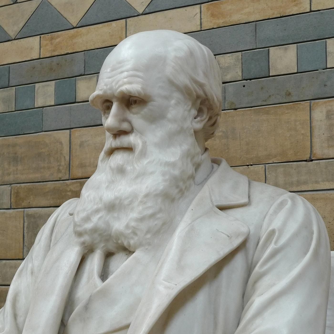 Hat Charles Darwin seine Ideen gestohlen?