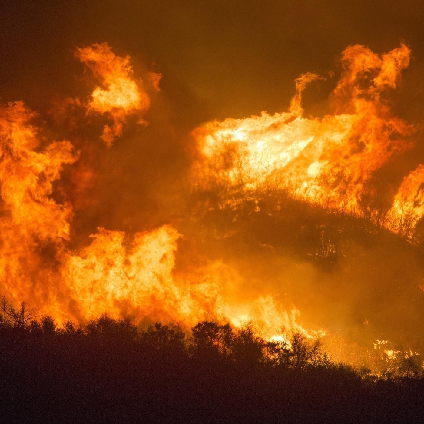 Wie wirken sich Buschfeuer aufs Klima aus?