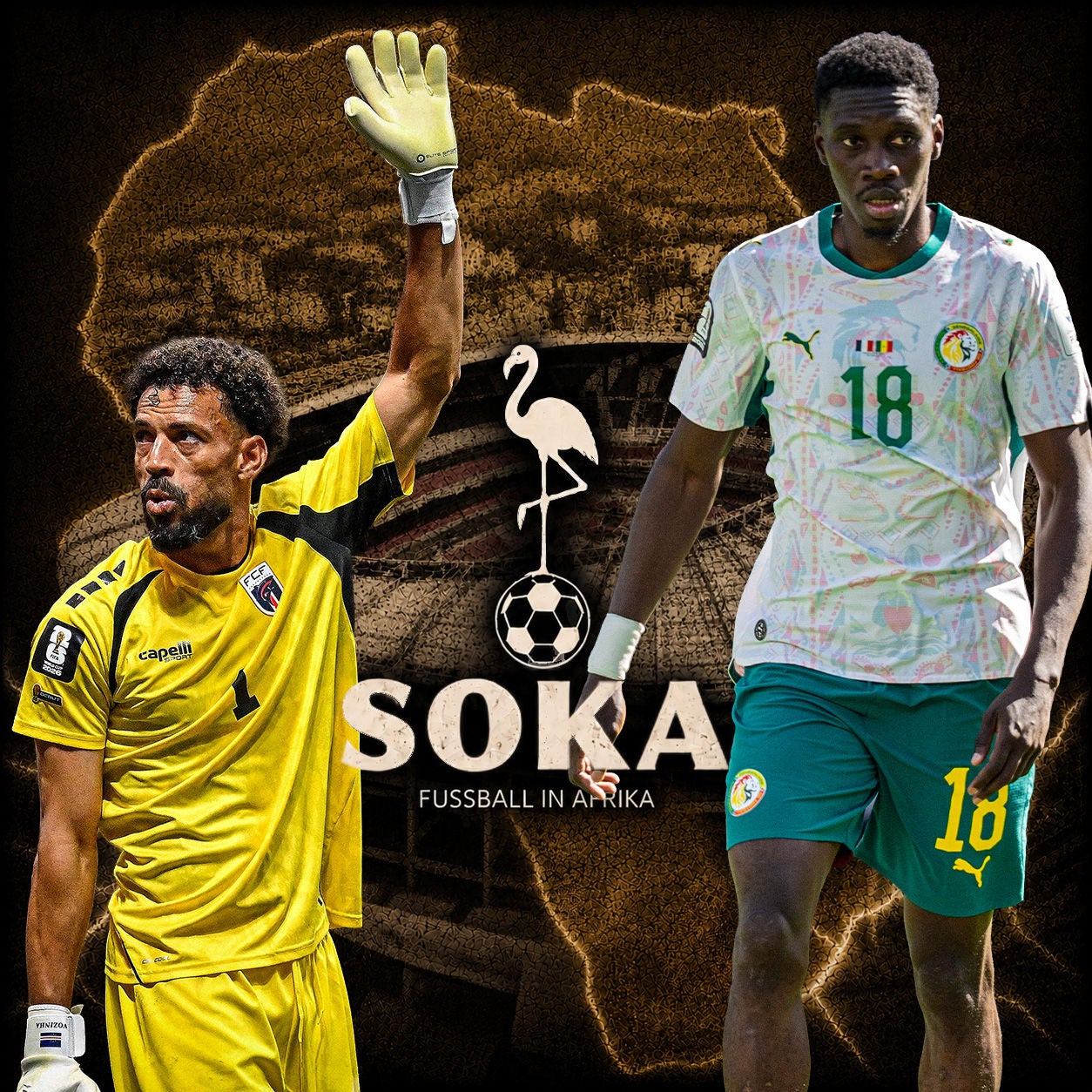 Wie weit ist Afrika wirklich? Das große WM-Fazit zu den afrikanischen Teams