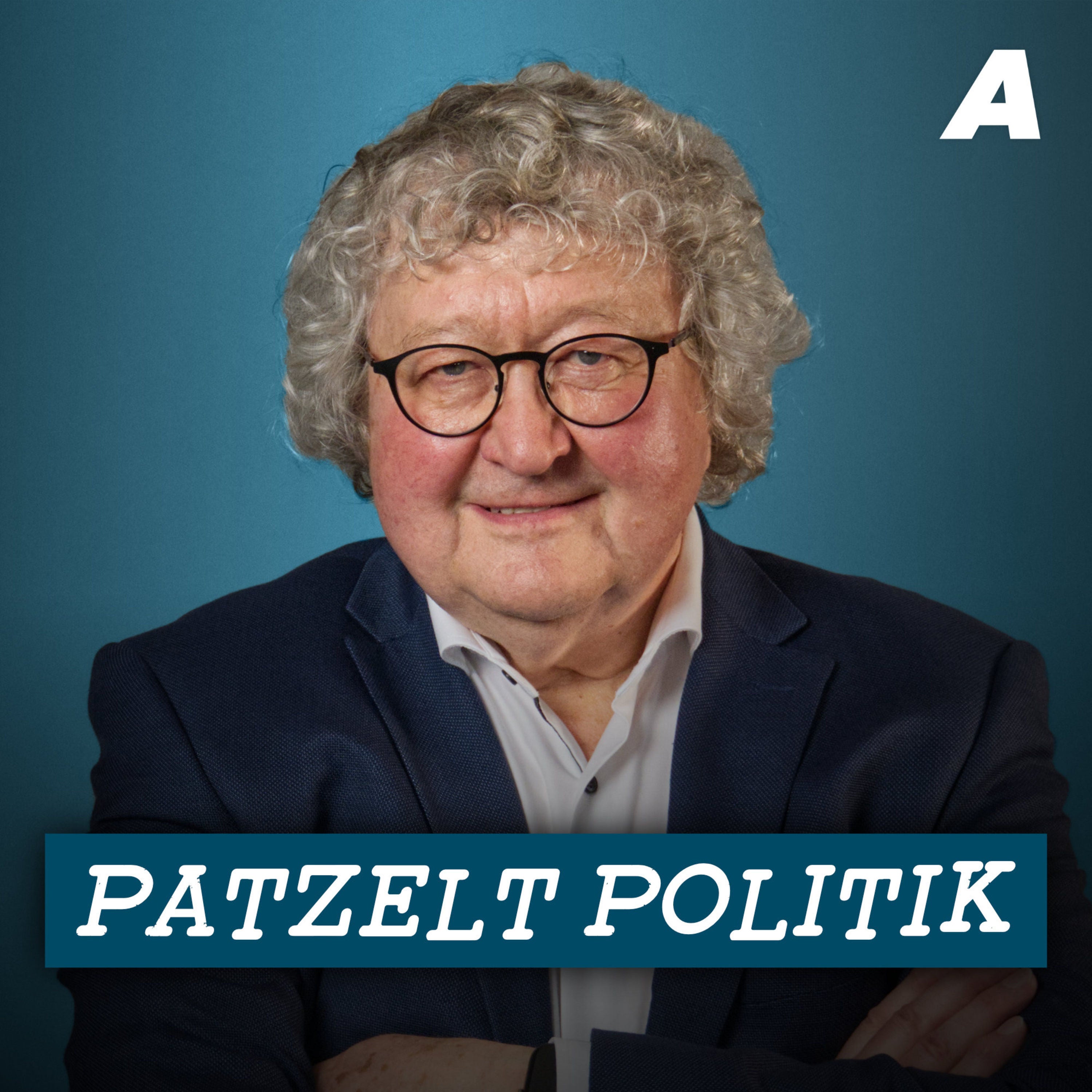 Steinmeier beleidigt jeden AfD-Wähler – Patzelt Politik