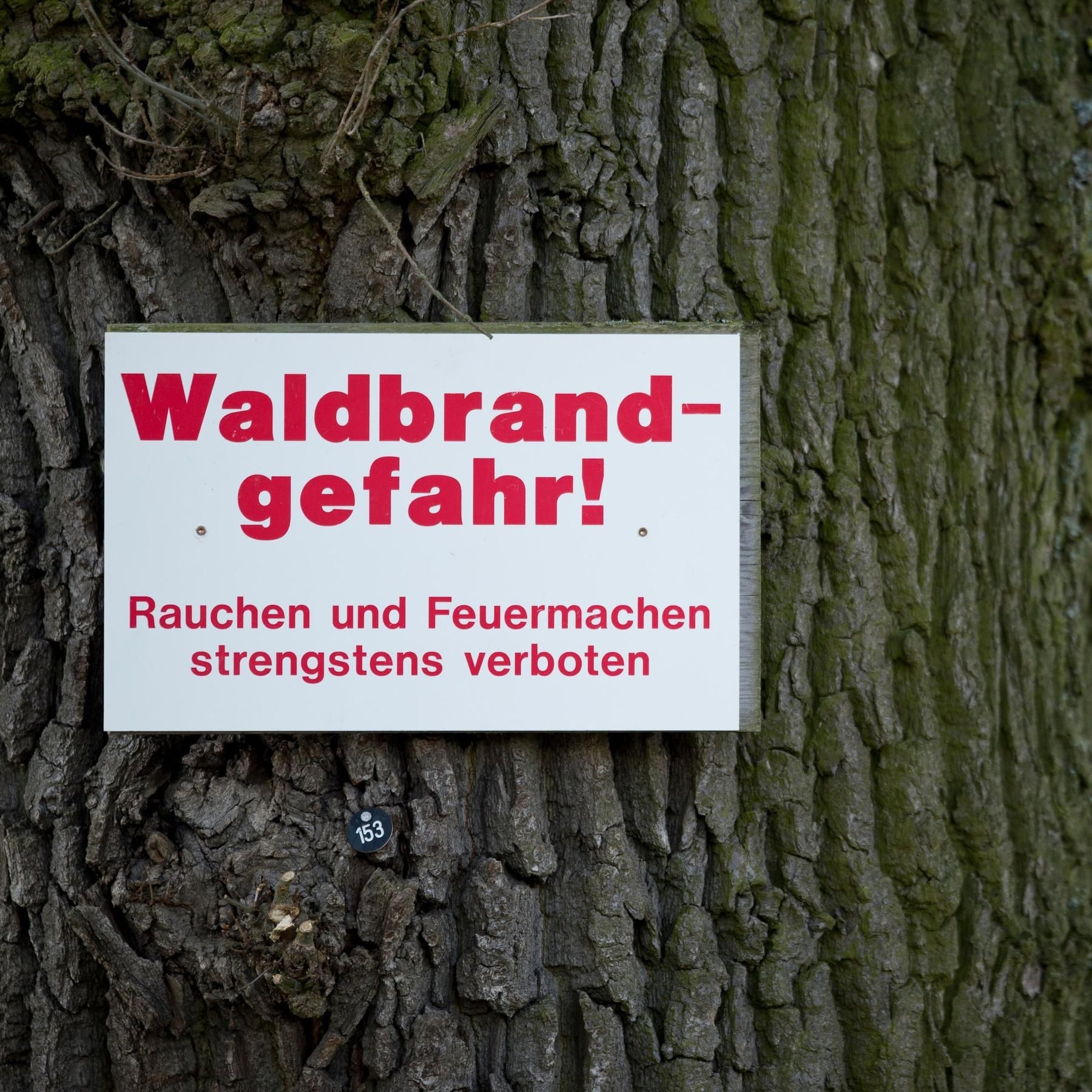 Ein Funke reicht: So trocken ist der Wald in Unterfranken