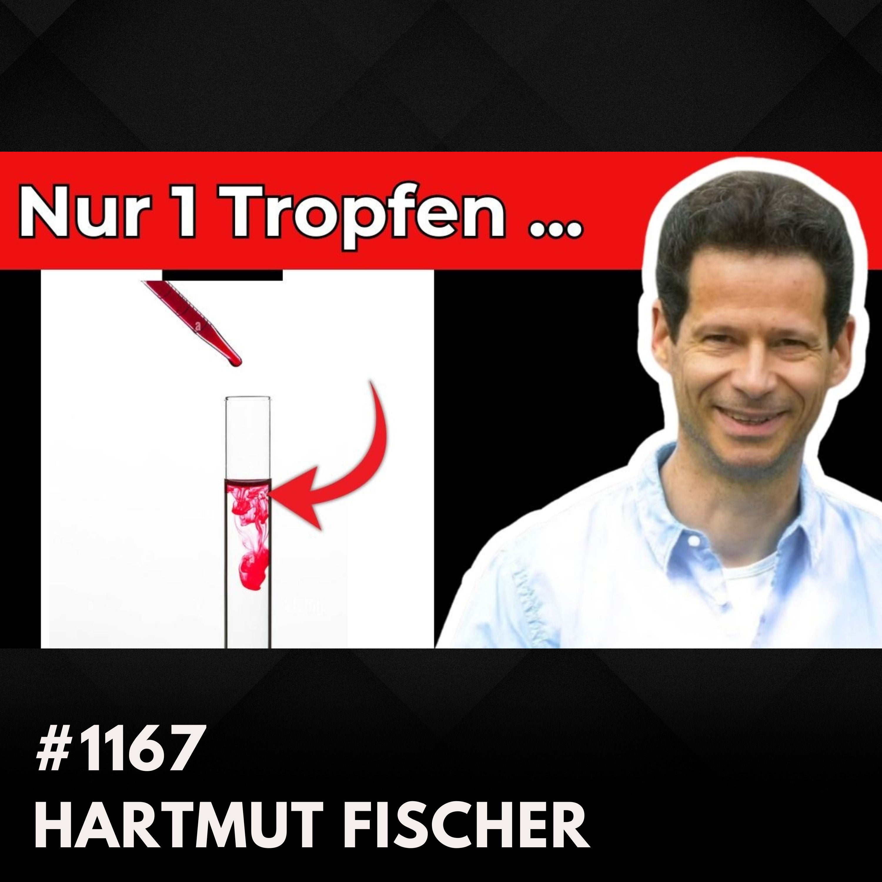 DMSO einfach erklärt | Dr. Hartmut Fischer #1167