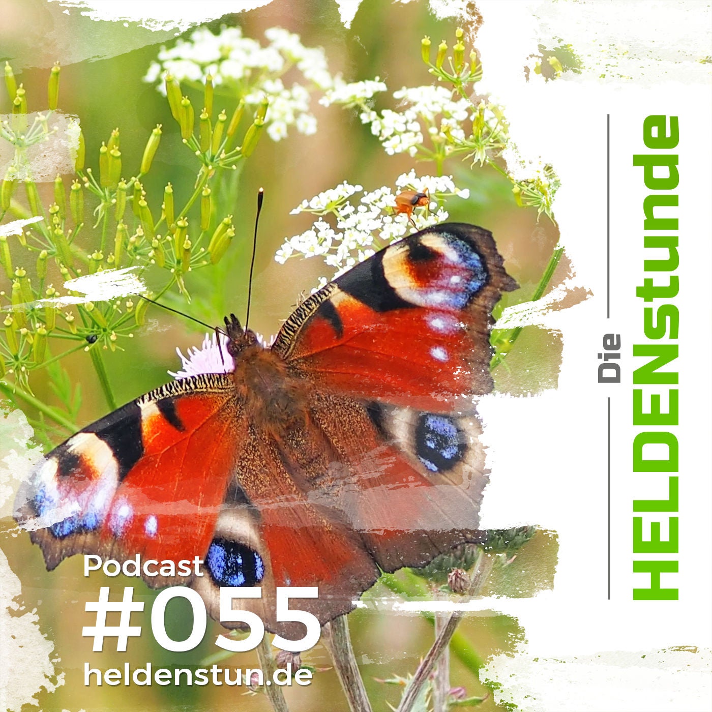HS 055 | 5 Stufen zur persönlichen Transformation