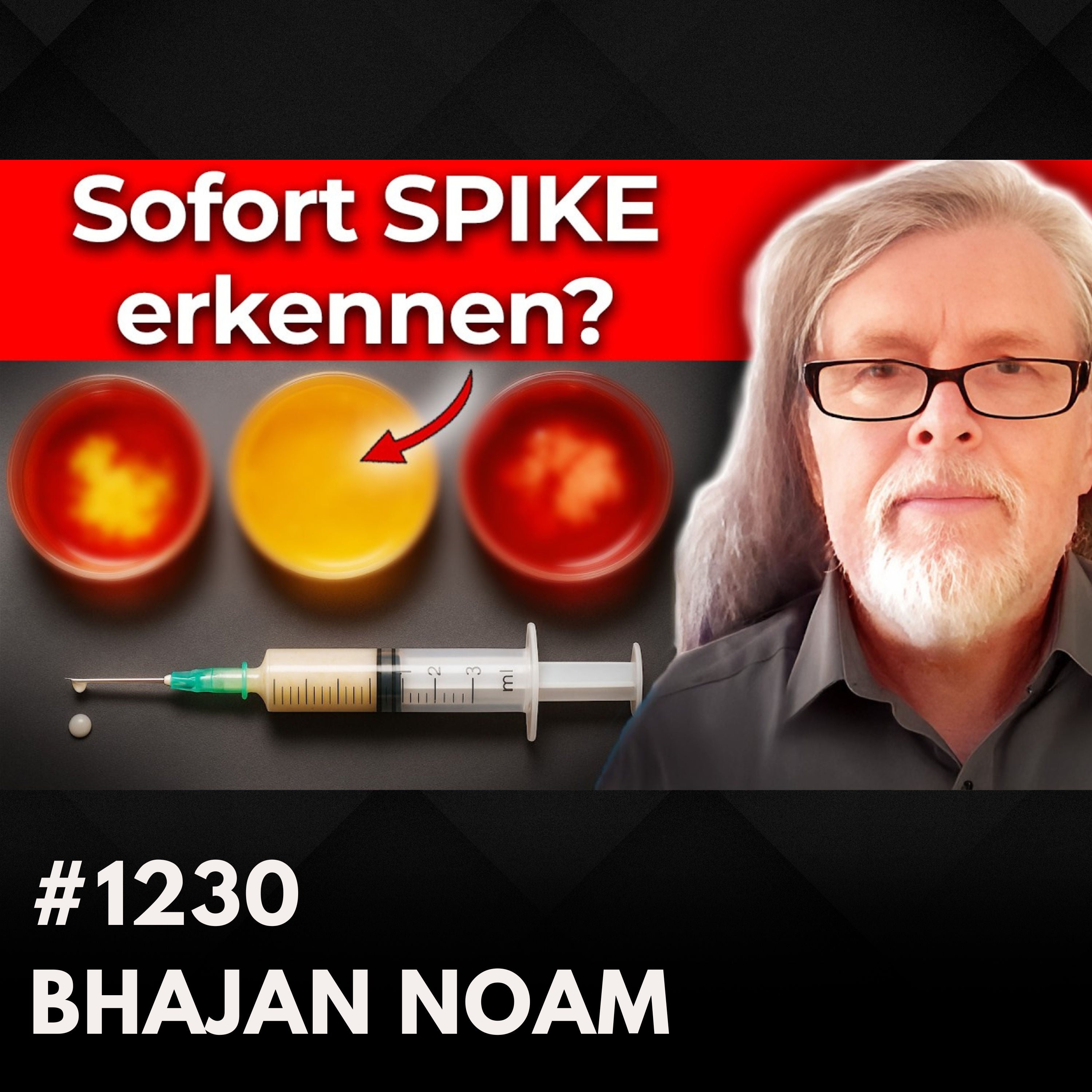 Spike-Proteine im Blut: Was ist wissenschaftlich bekannt? | Bhajan Noam #1230