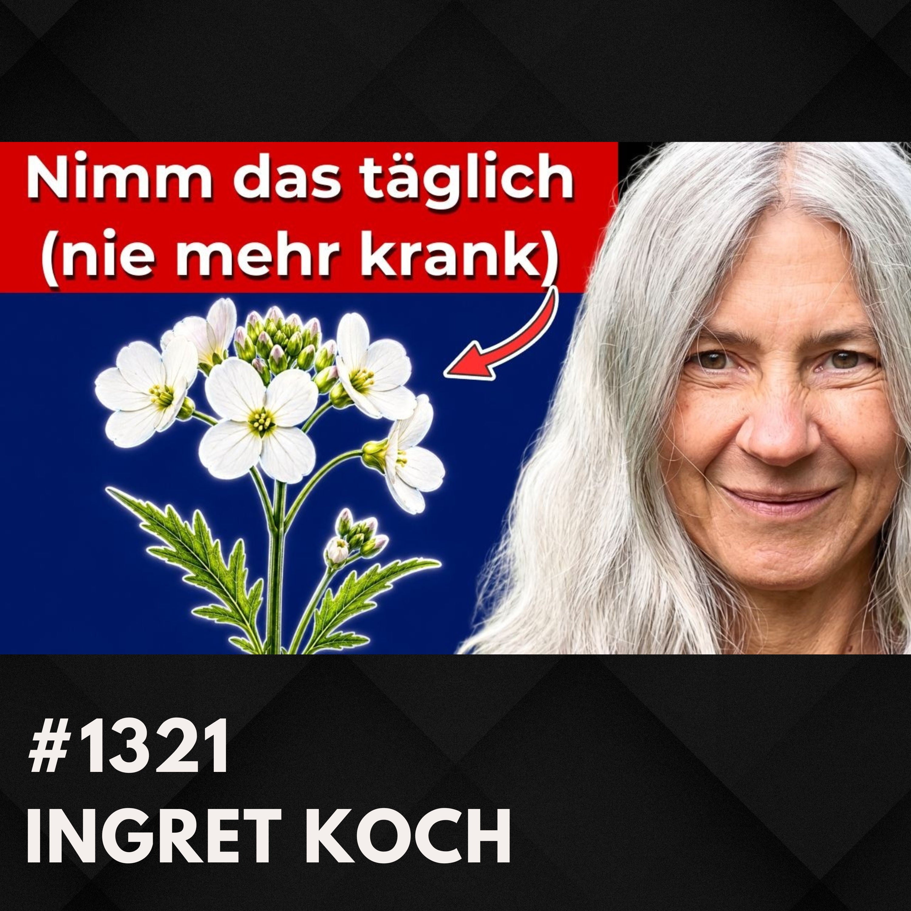 Dieses Kraut vor Deiner Tür: Mehr Vitamin C als Orangen? | Ingret Koch #1321